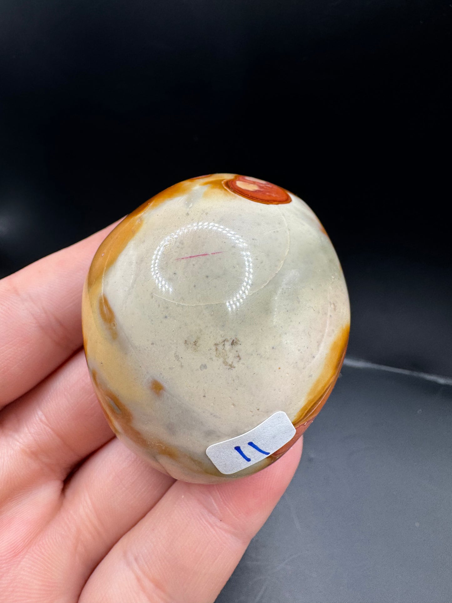 Polychrome jasper palm
