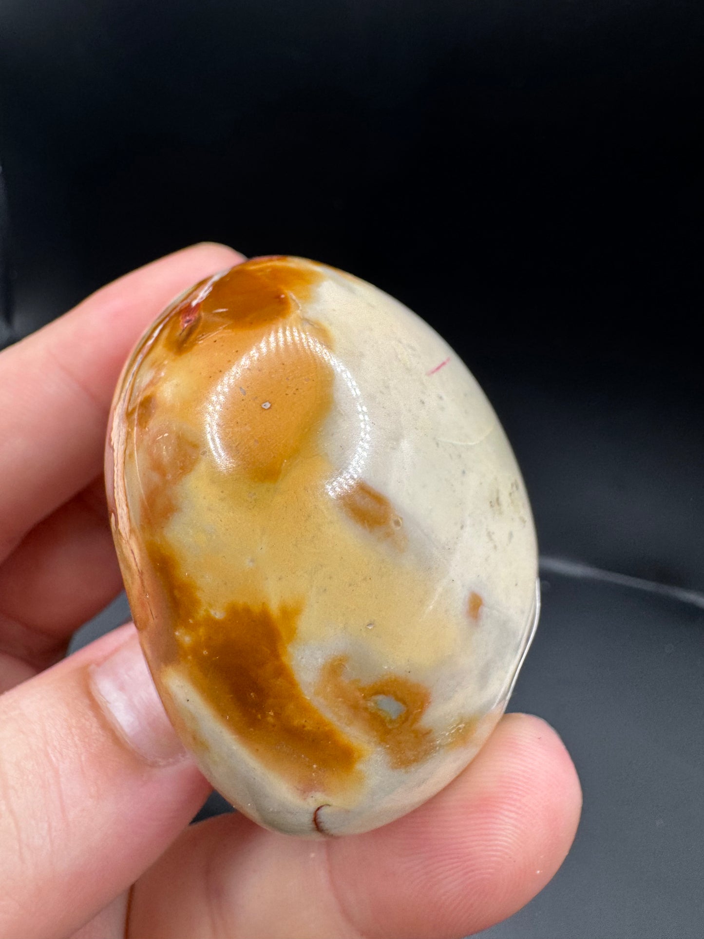 Polychrome jasper palm