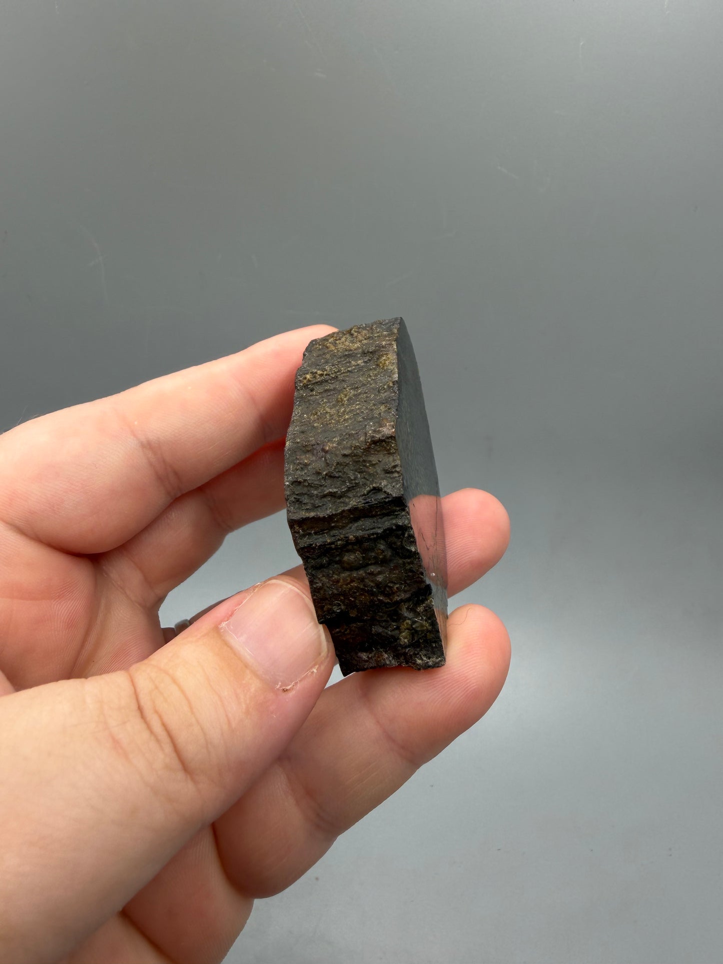 Pyritized dinosaur bone