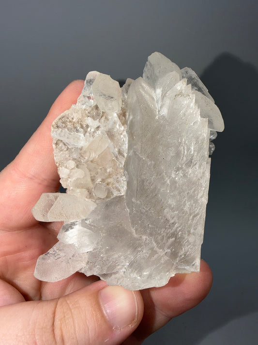 Fishtail Selenite