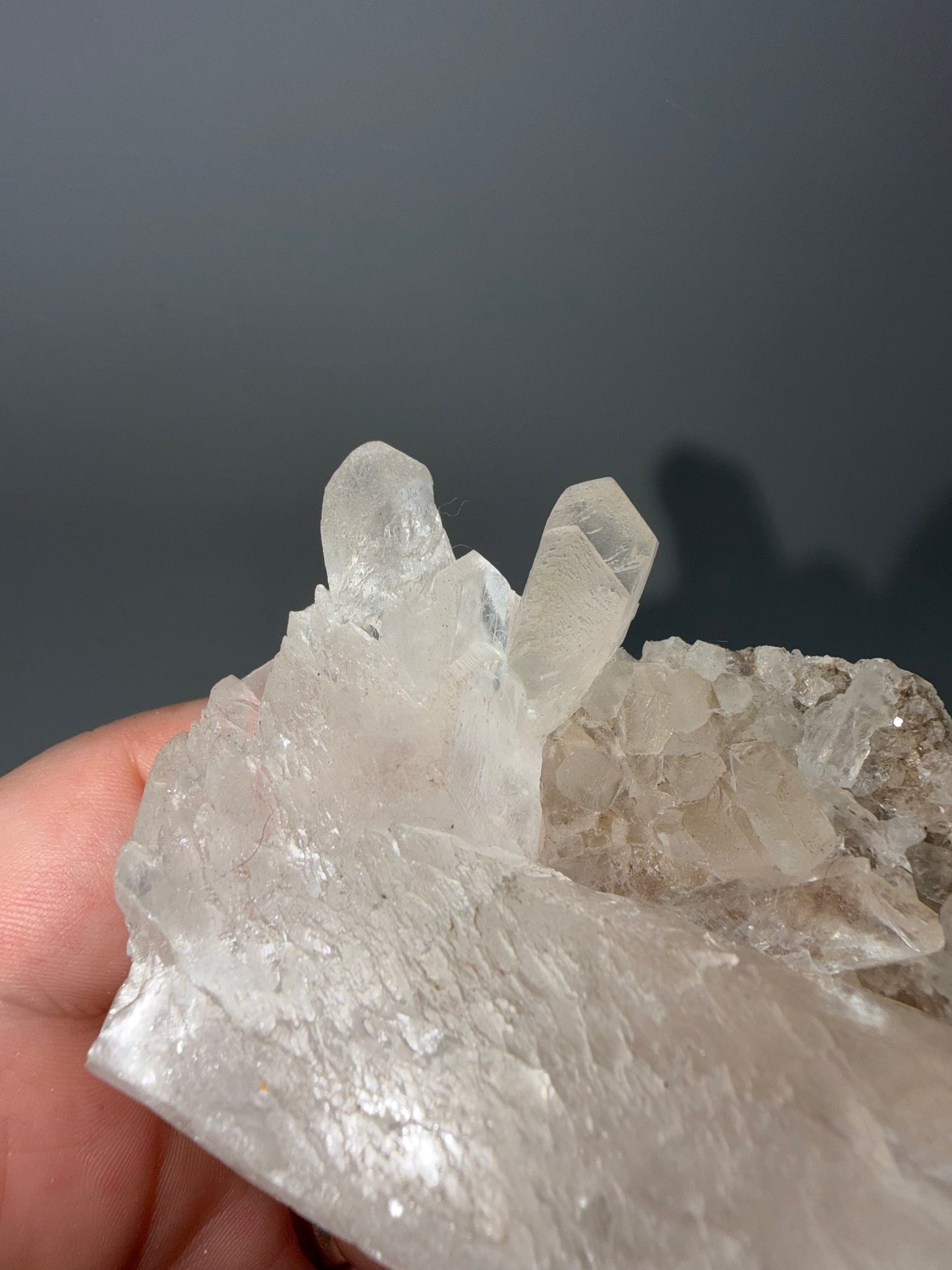 Fishtail Selenite