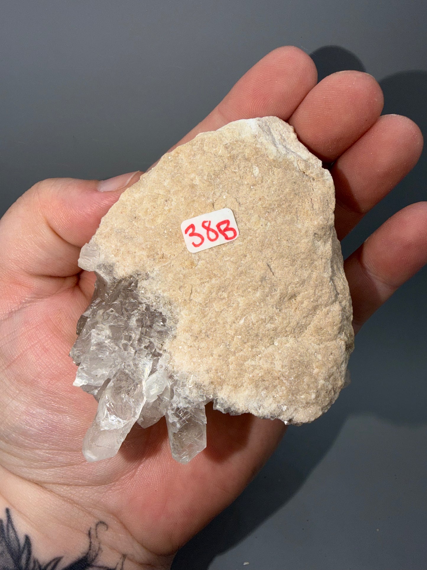 Fishtail Selenite