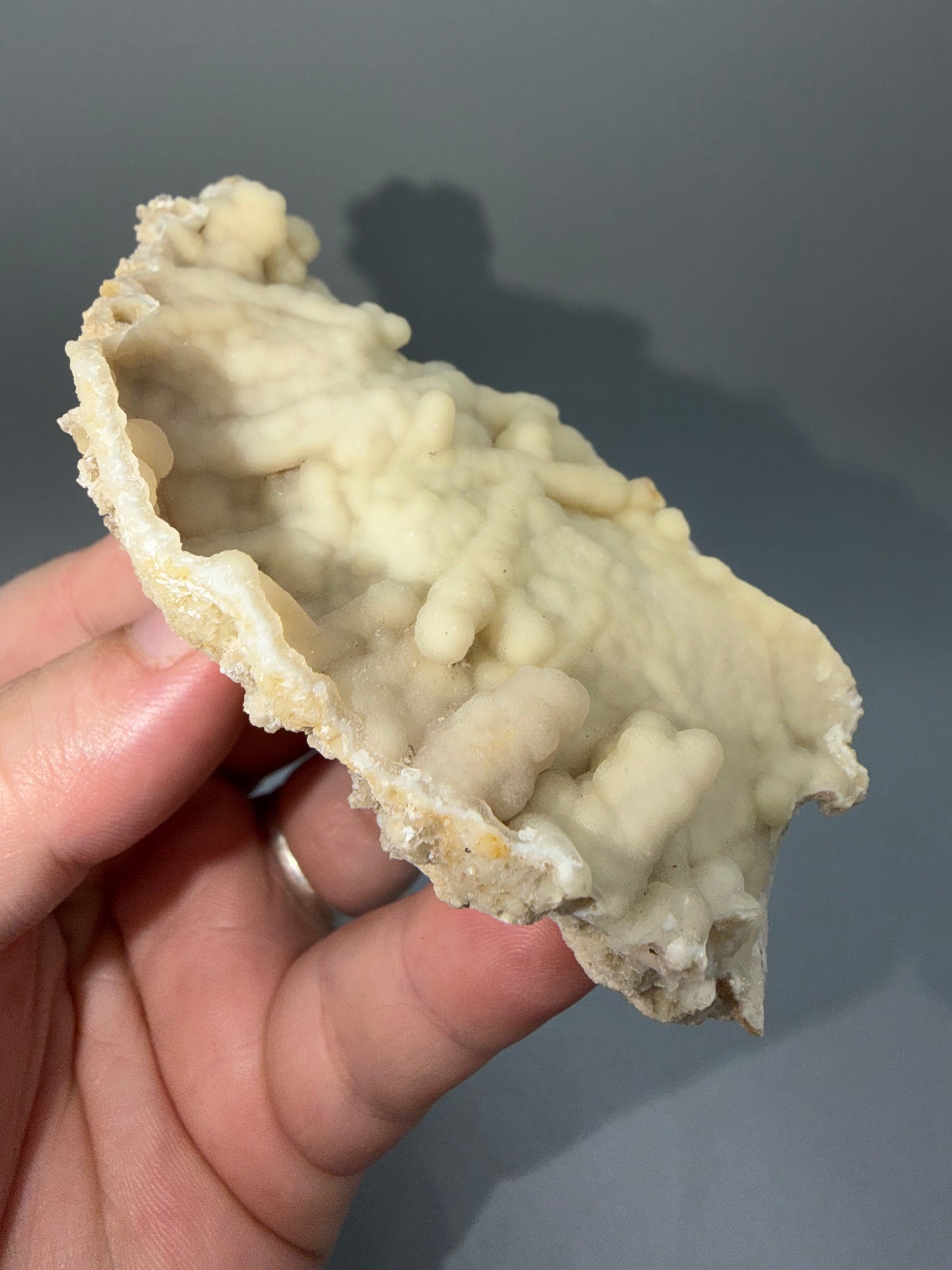 Agatized coral