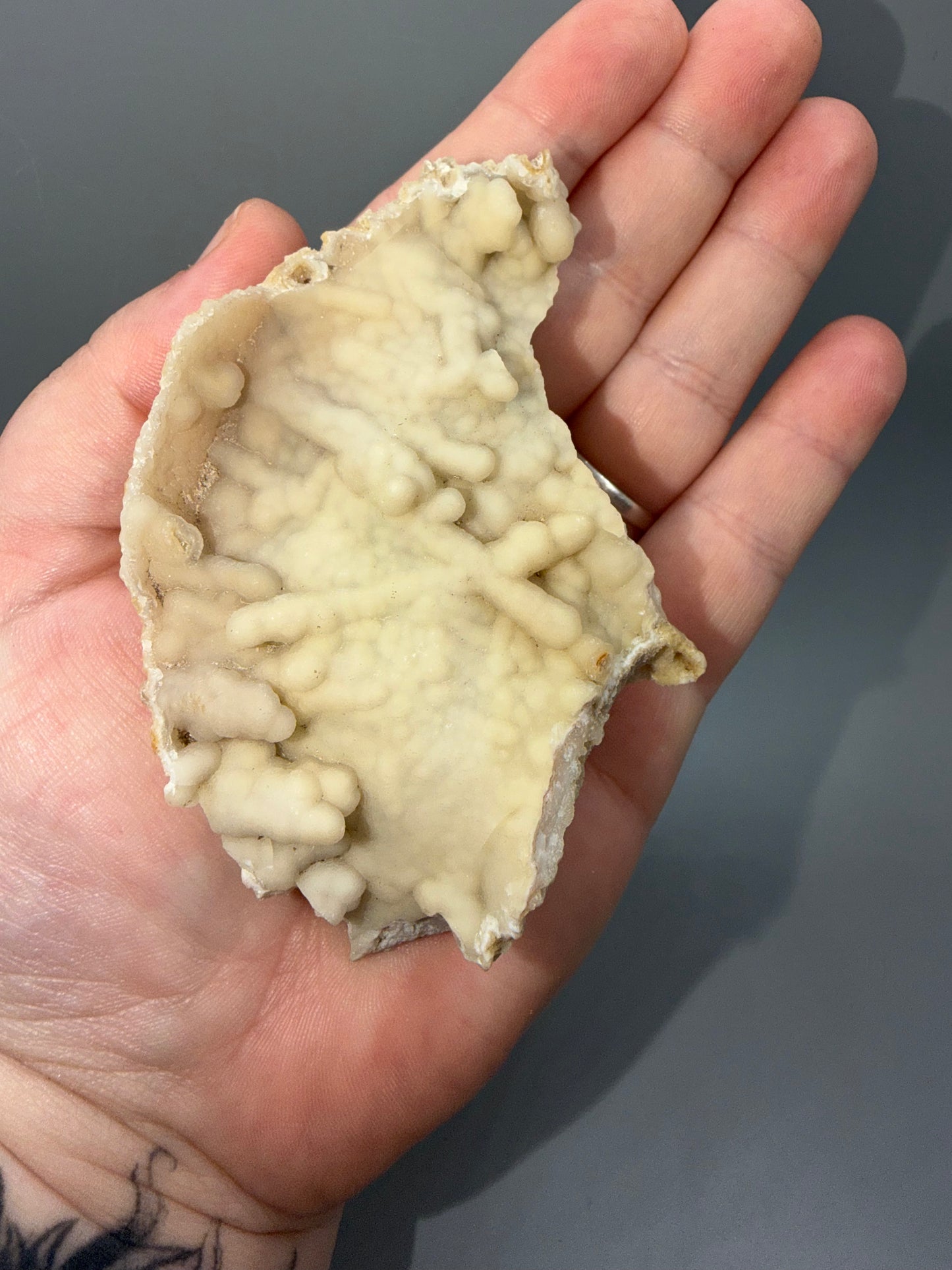 Agatized coral