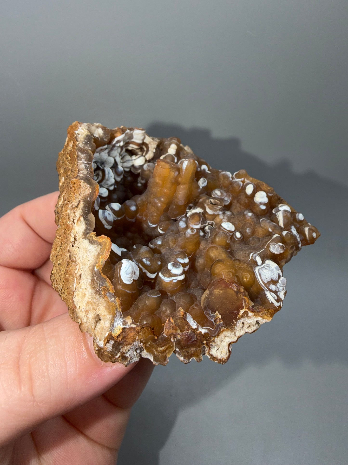 Agatized coral