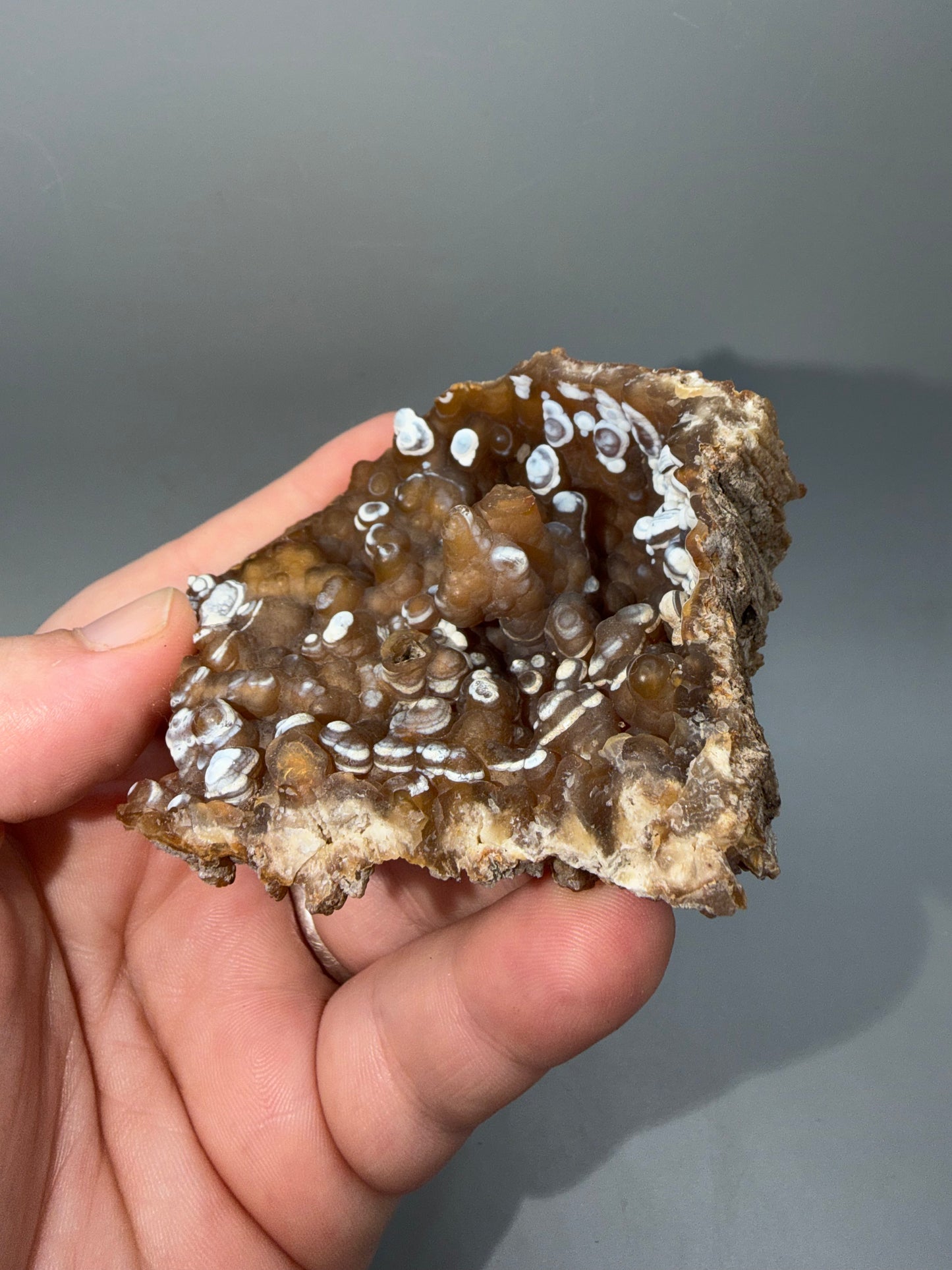 Agatized coral