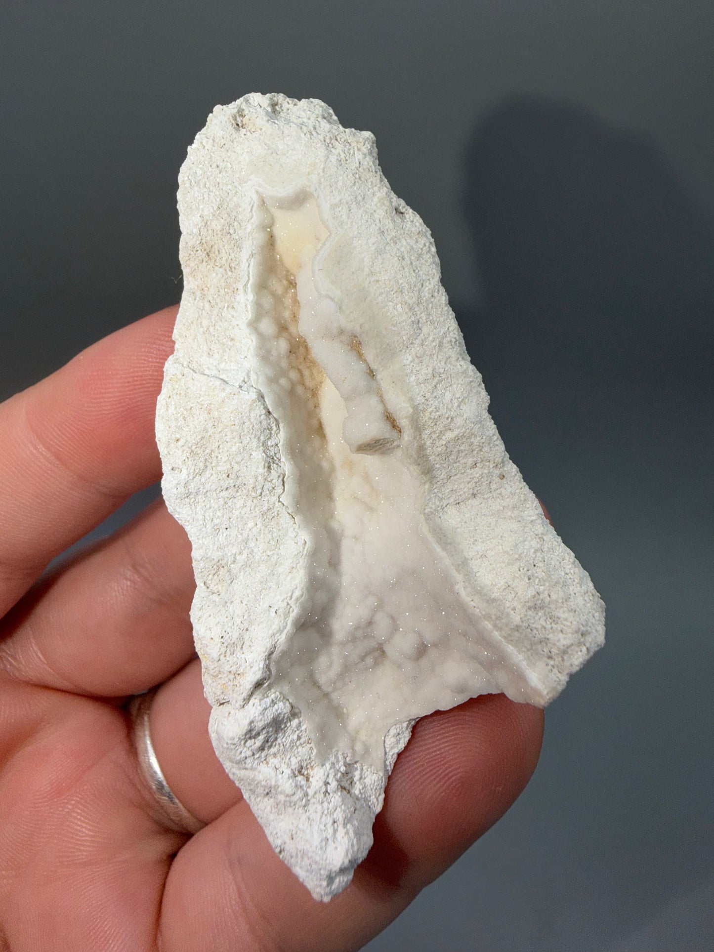 Agatized coral