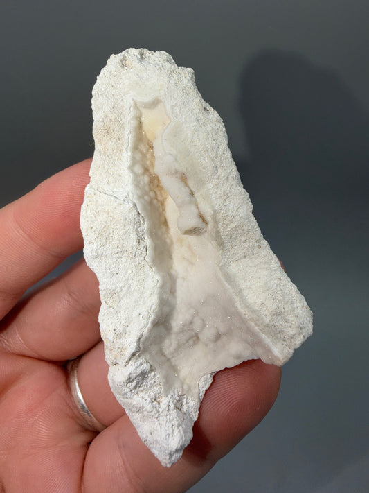 Agatized coral