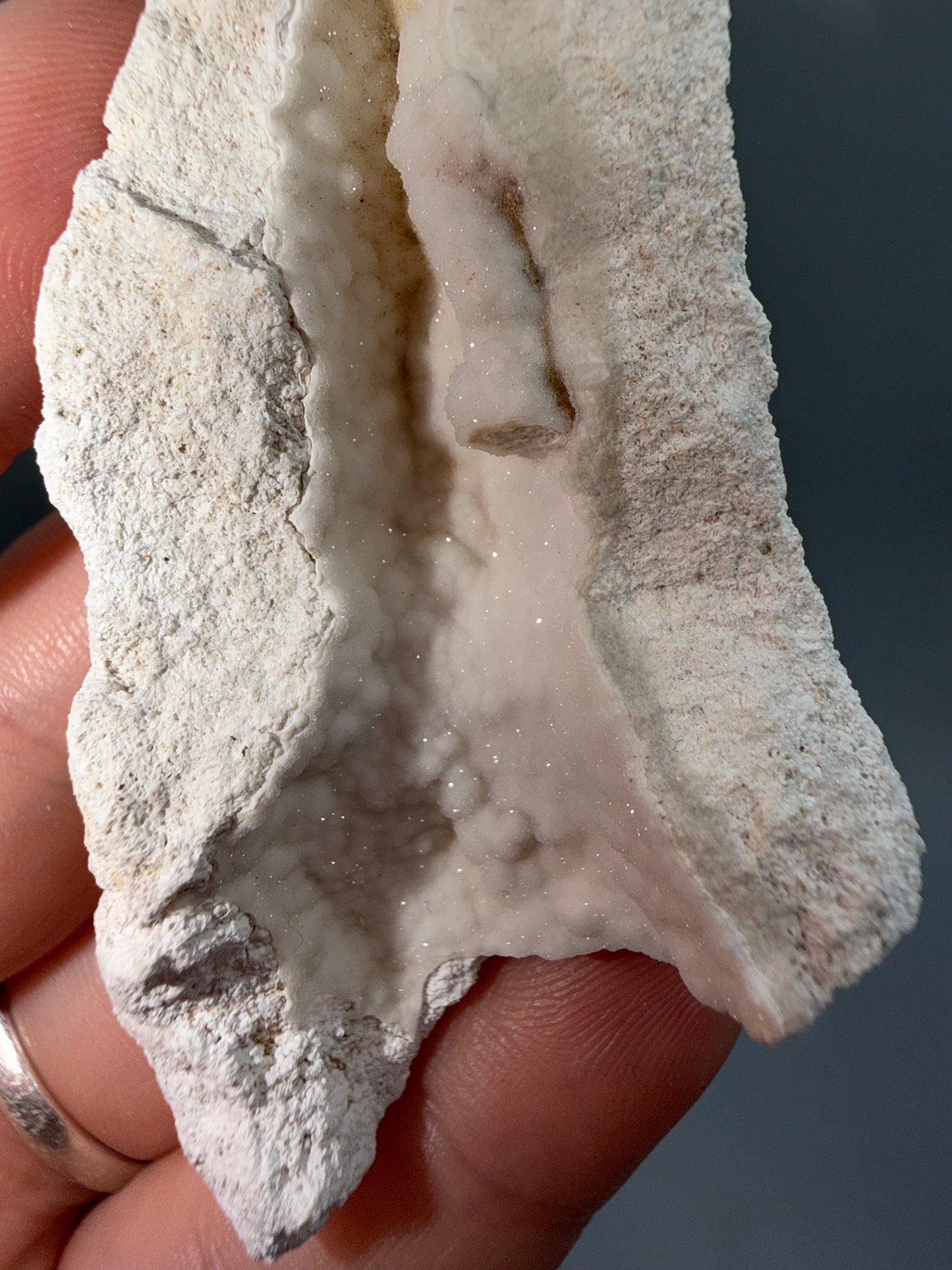 Agatized coral