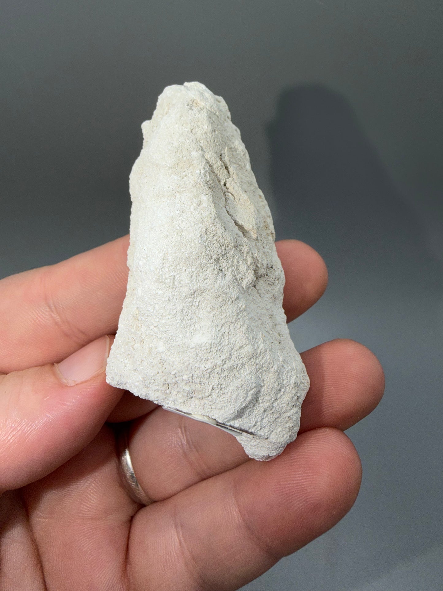 Agatized coral