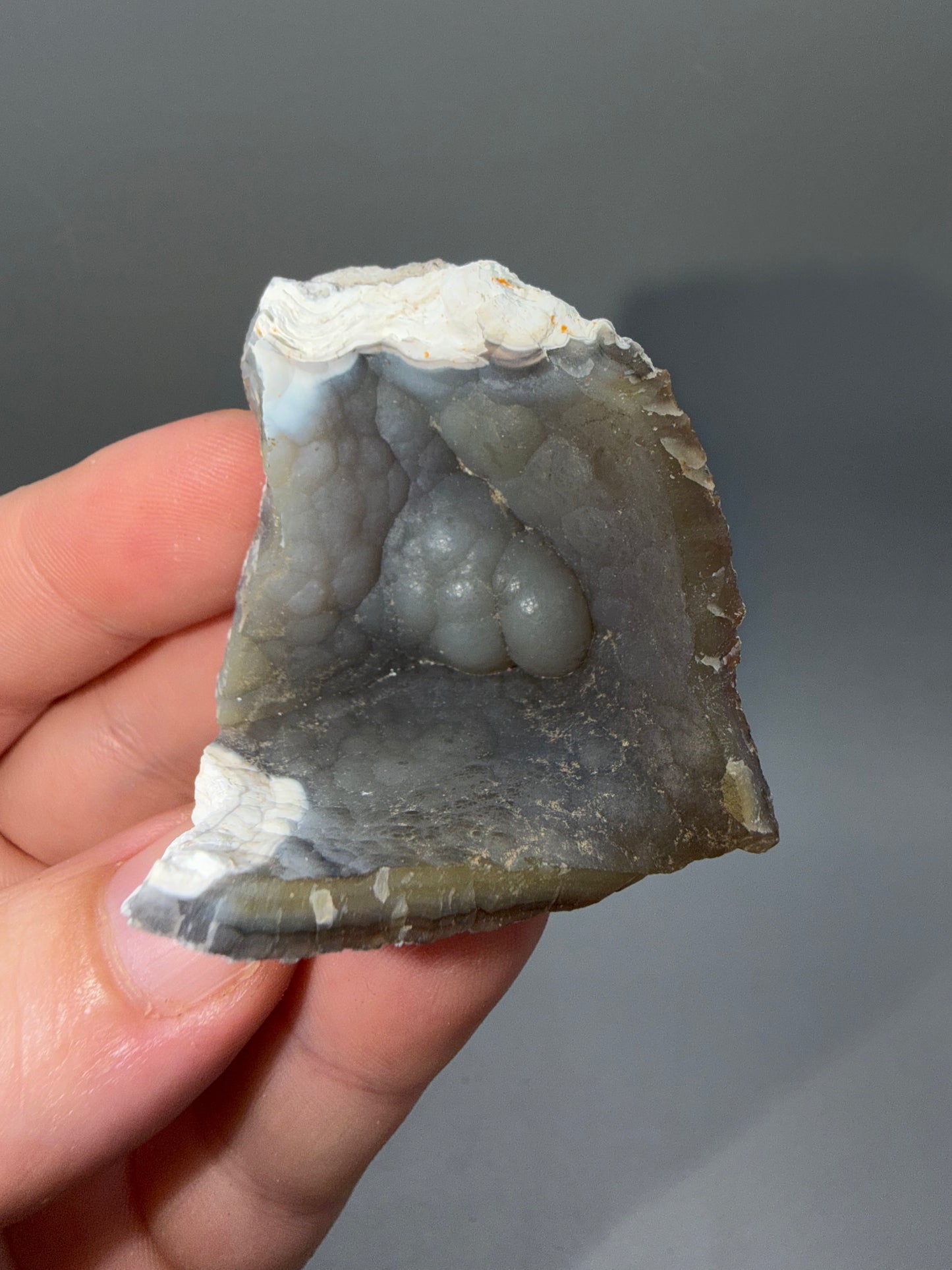 Agatized coral