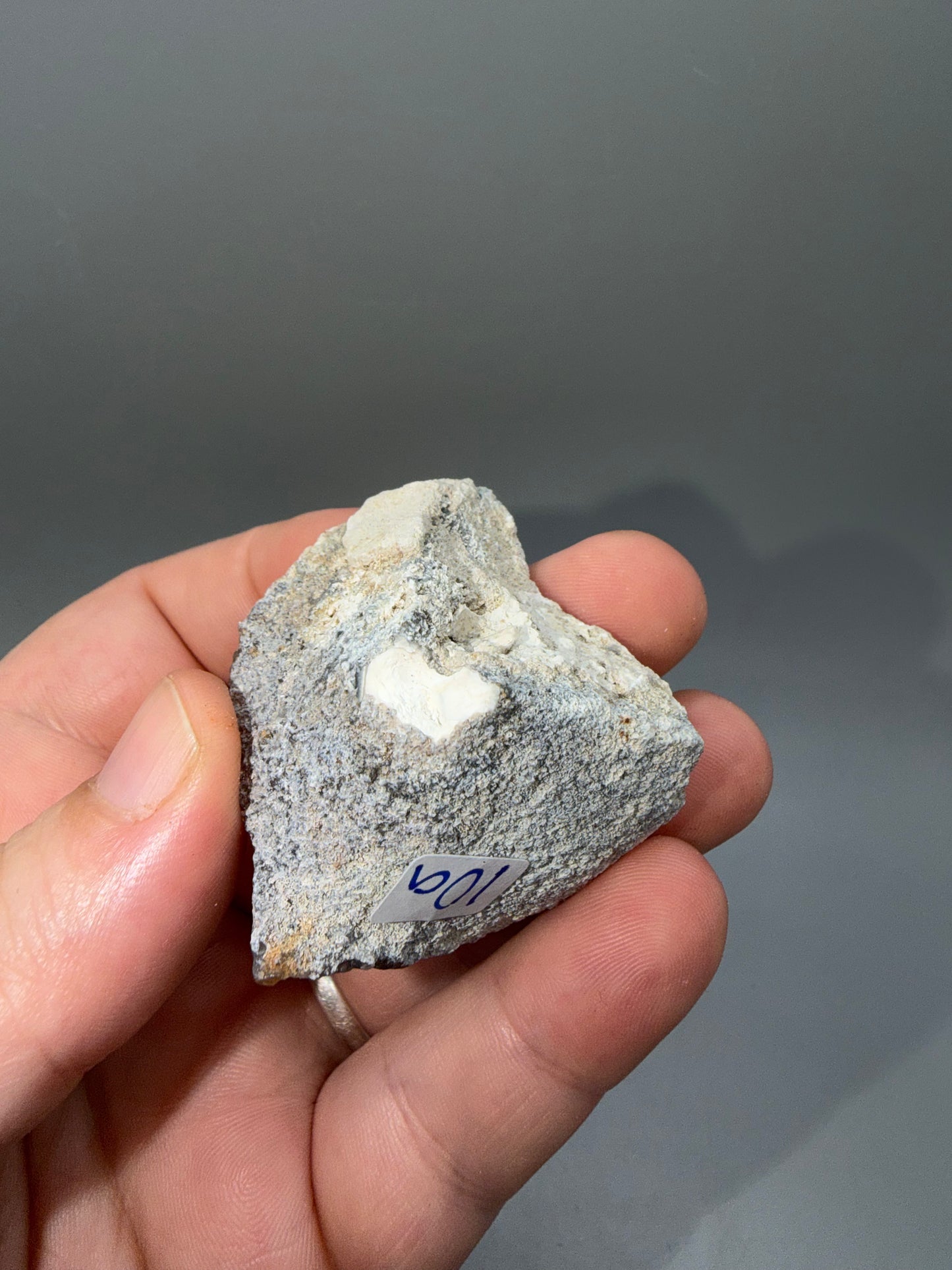 Agatized coral