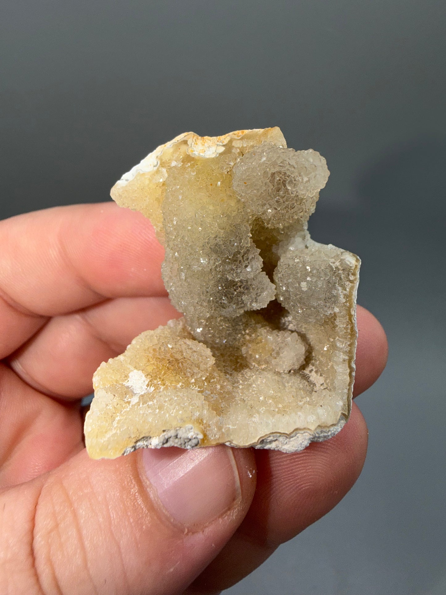 Agatized coral