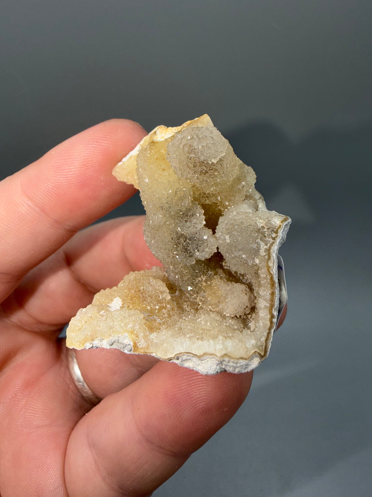 Agatized coral