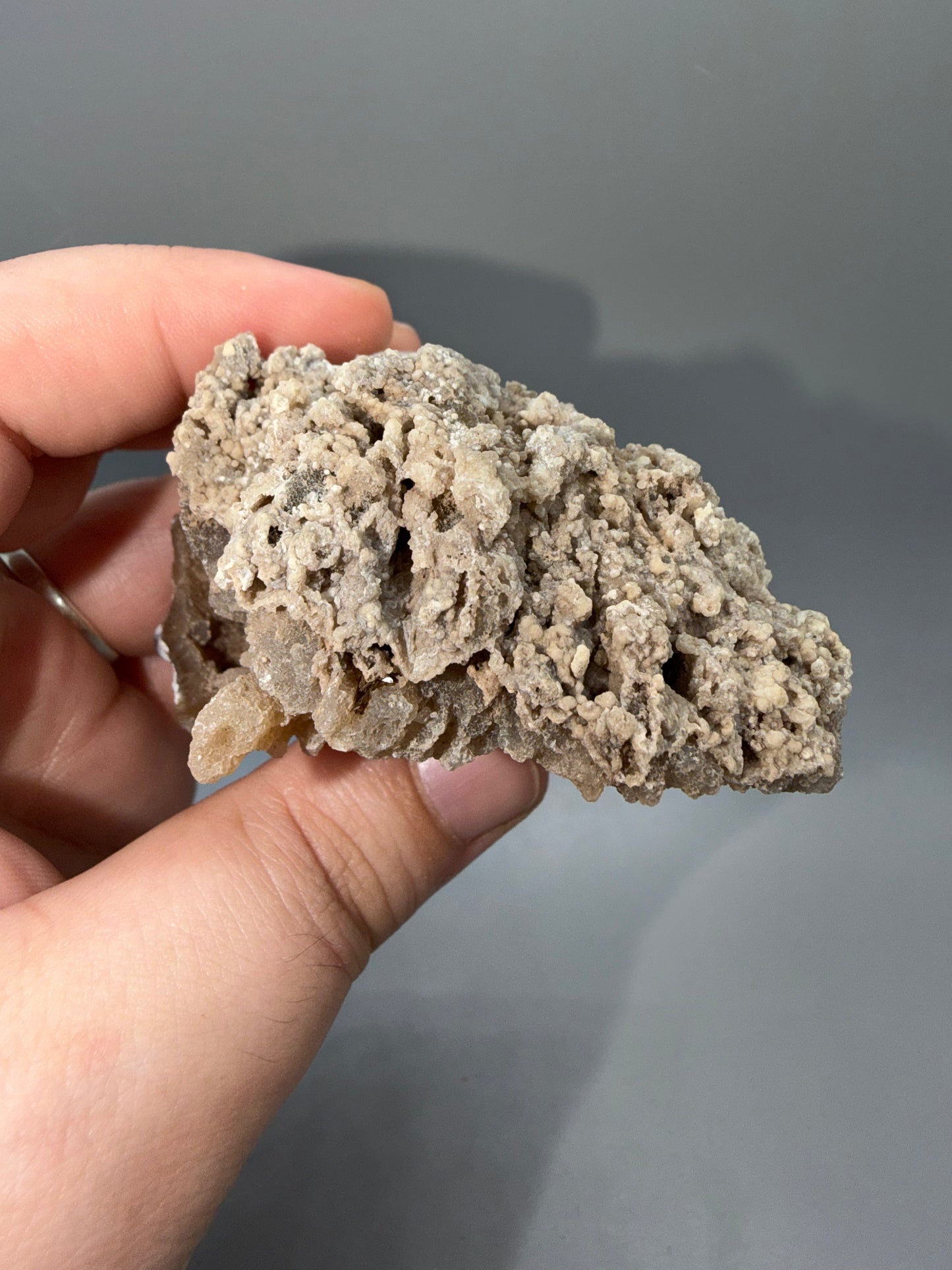 Agatized coral
