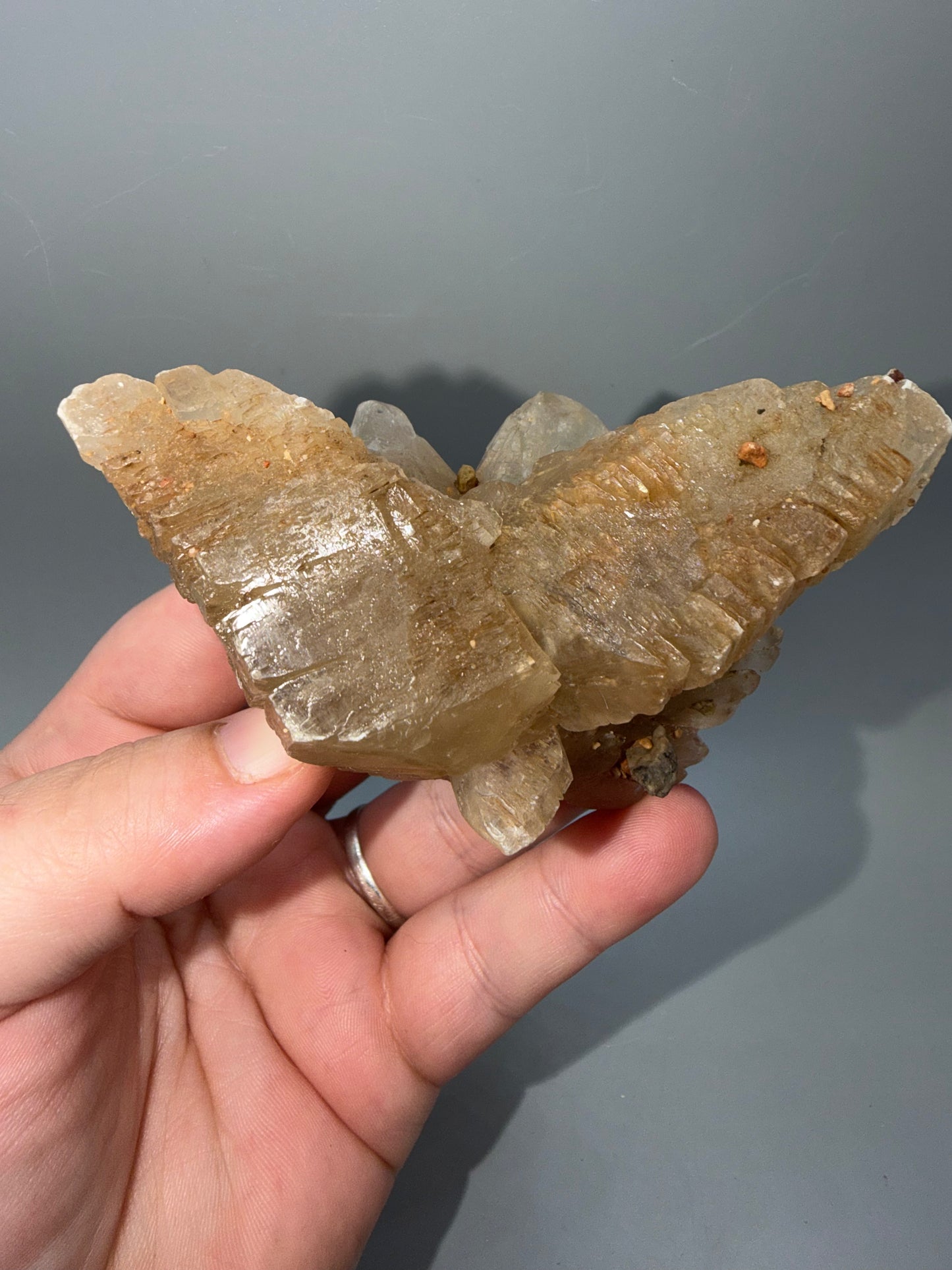 Fishtail selenite