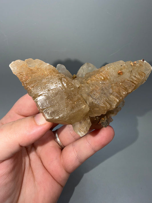 Fishtail selenite