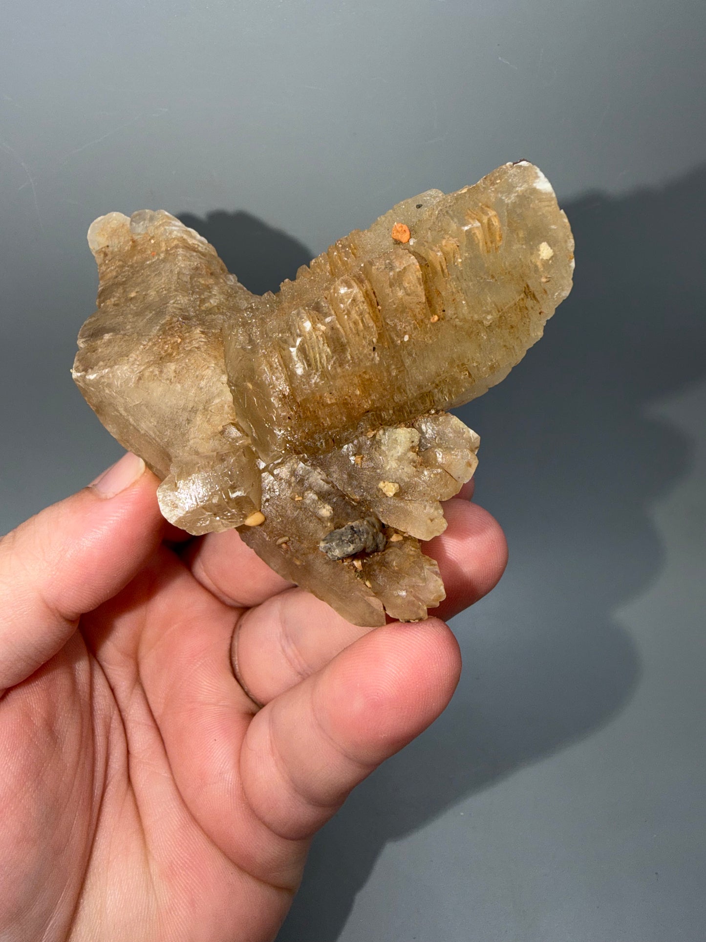Fishtail selenite