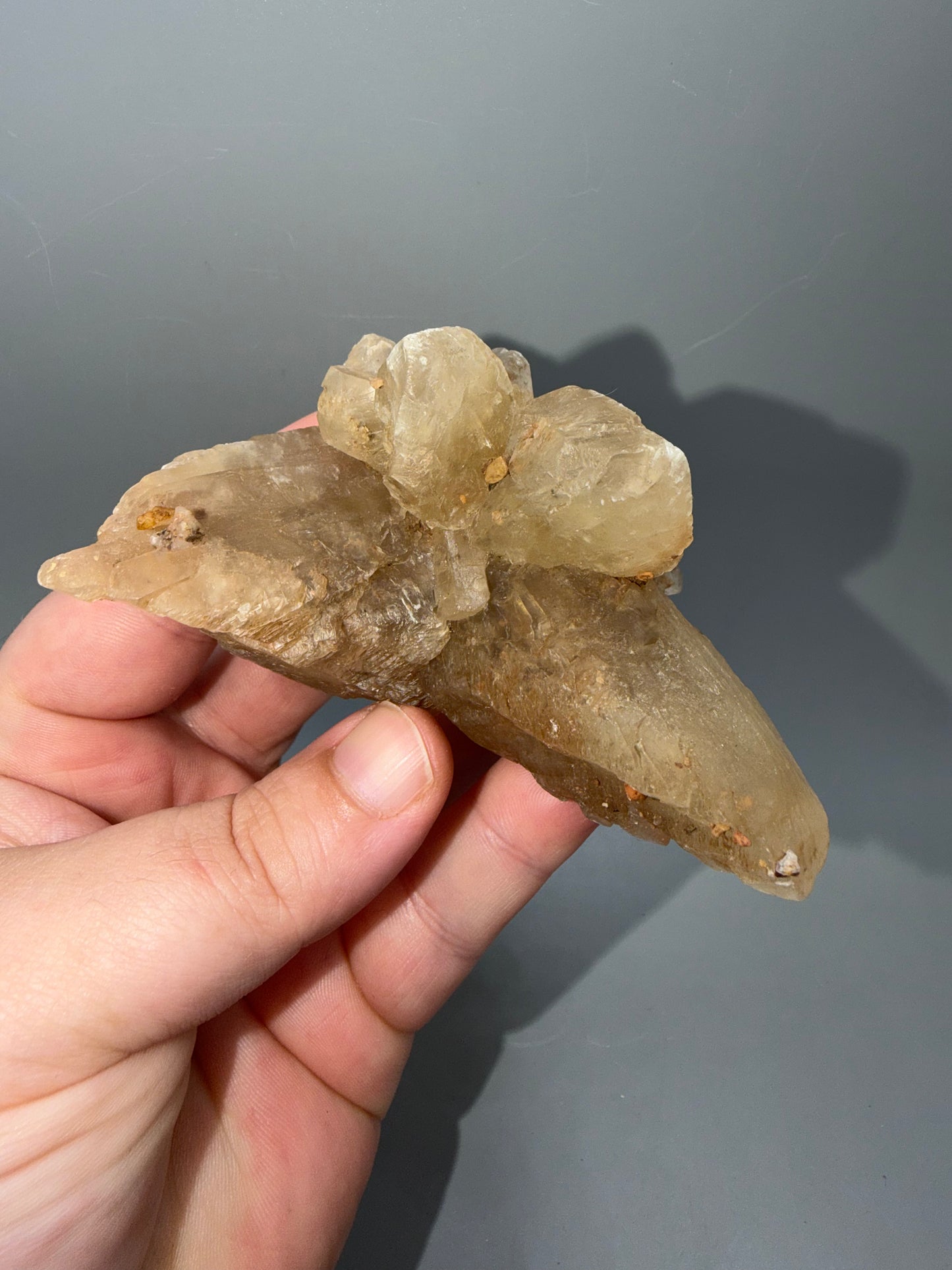 Fishtail selenite