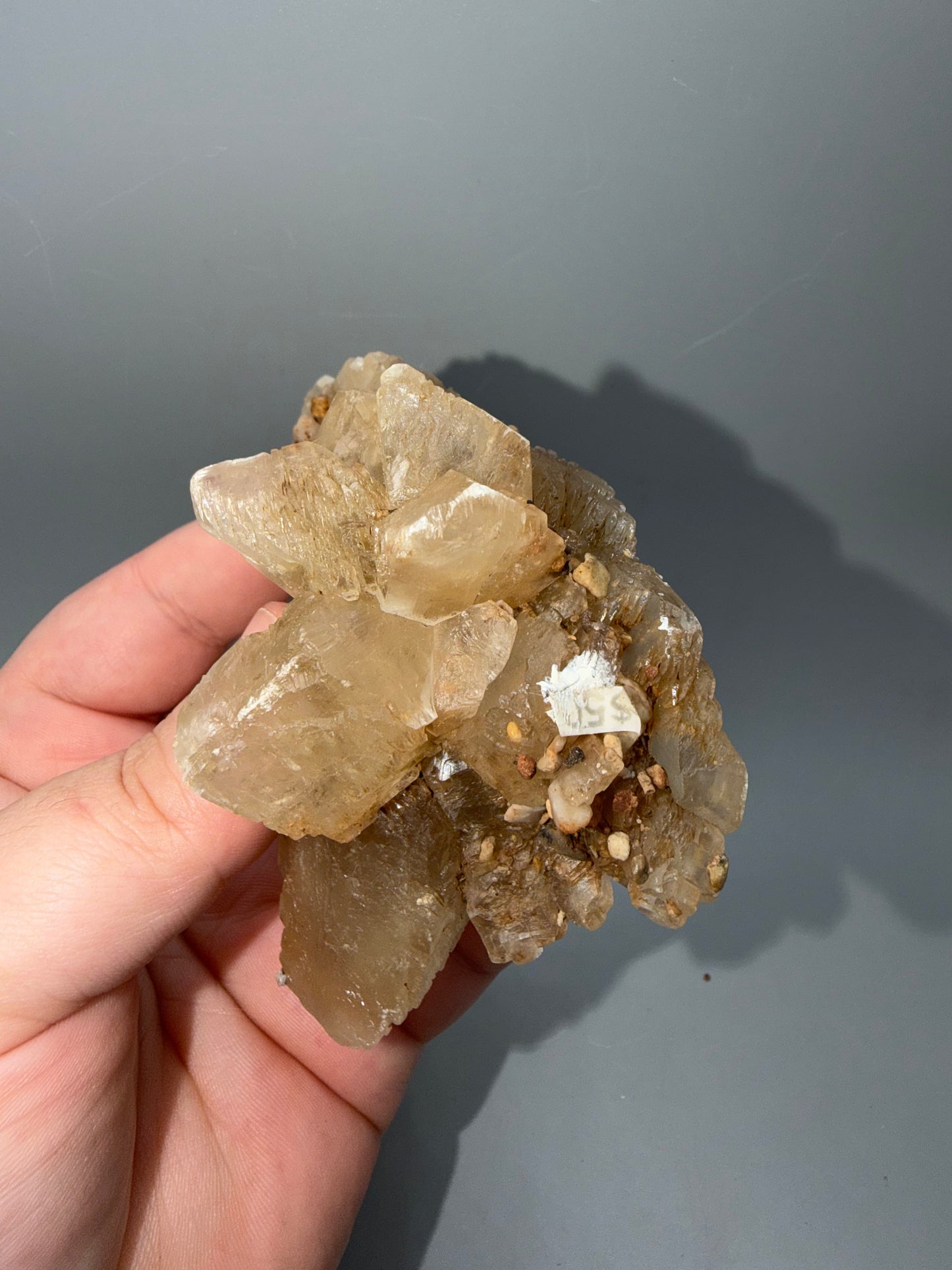 Fishtail selenite