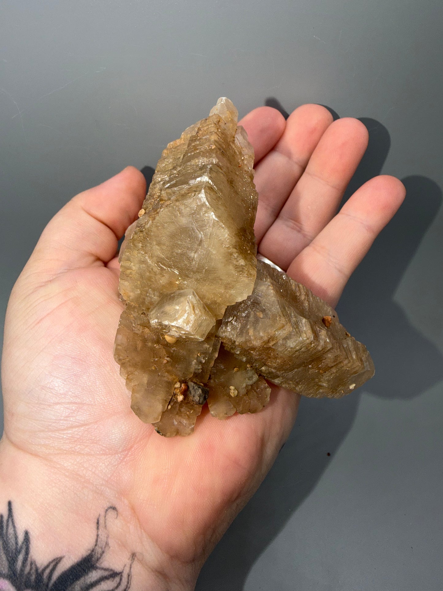Fishtail selenite
