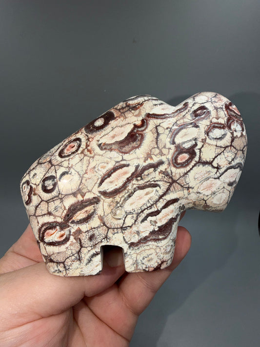 Rhyolite buffalo