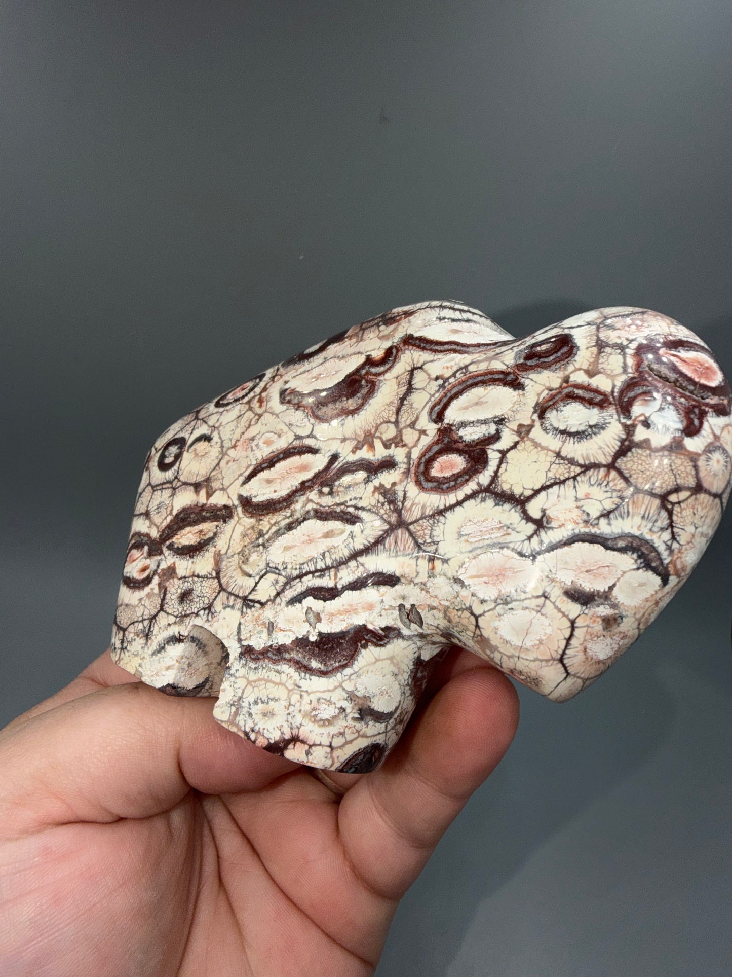 Rhyolite buffalo