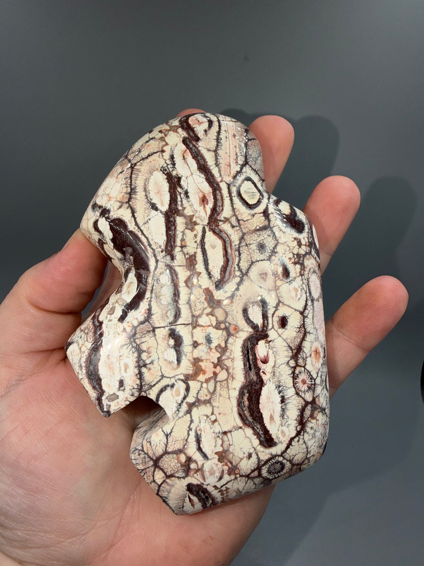 Rhyolite buffalo
