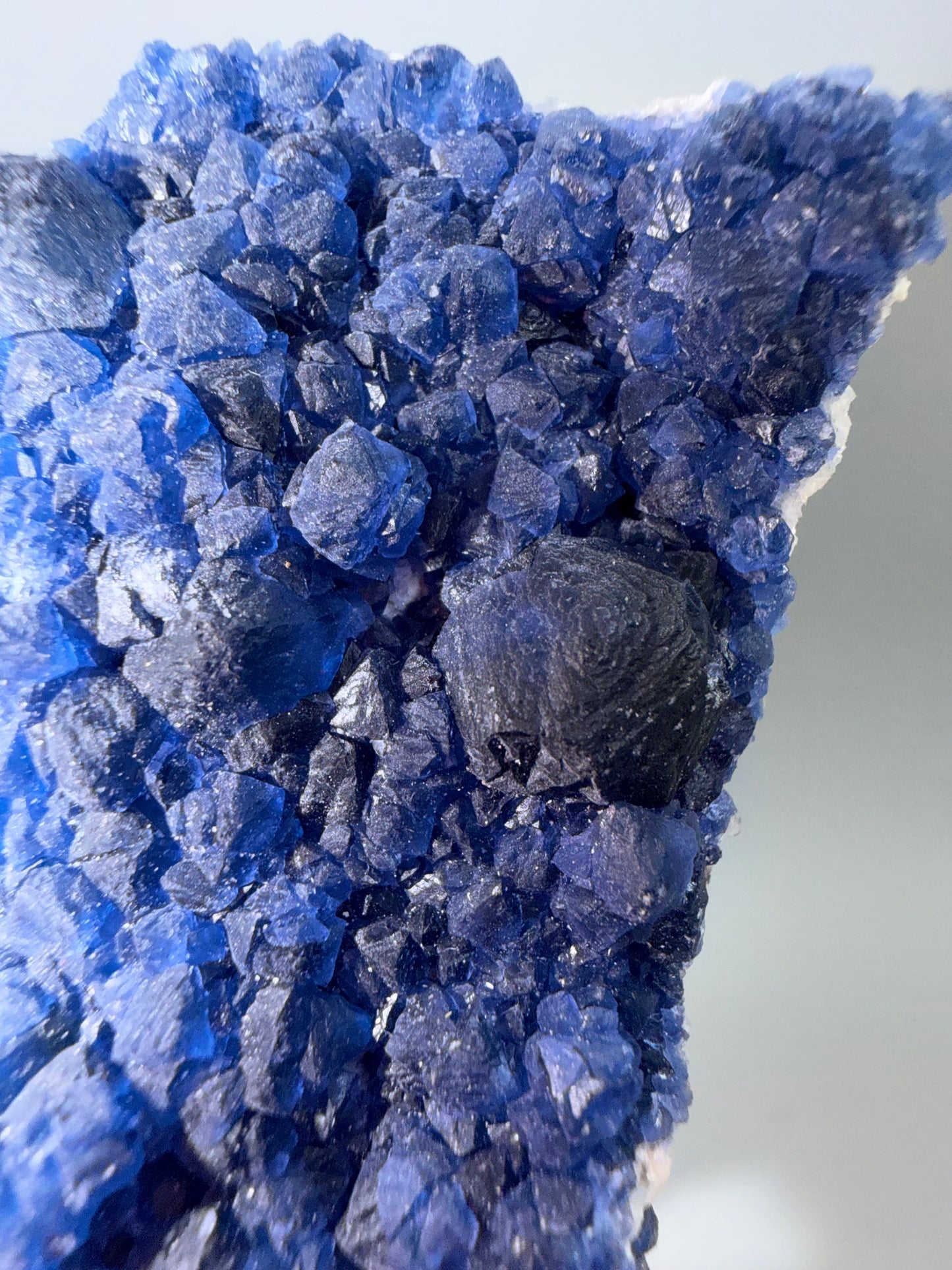Blueberry fluorite