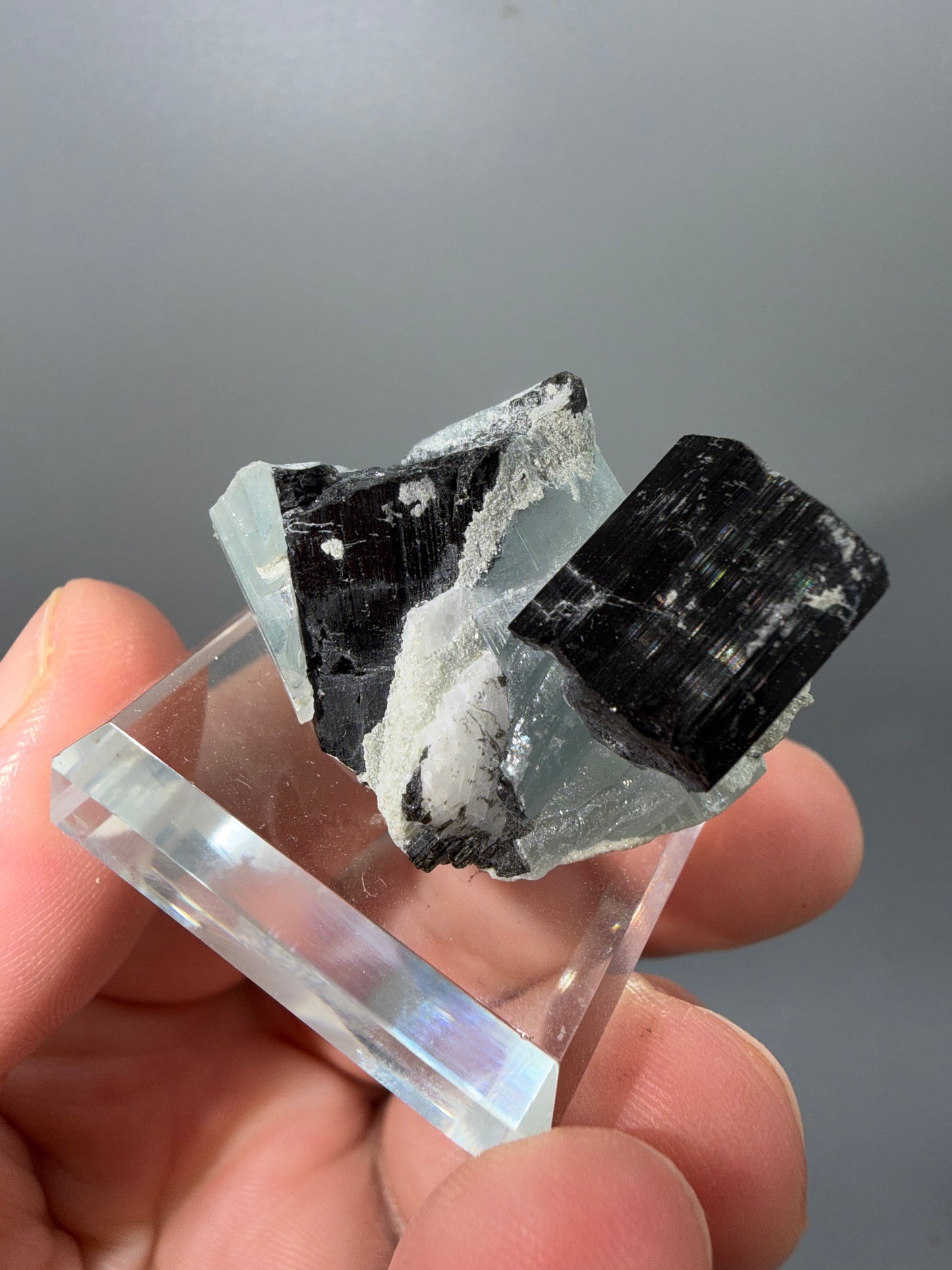 Schorl + aquamarine