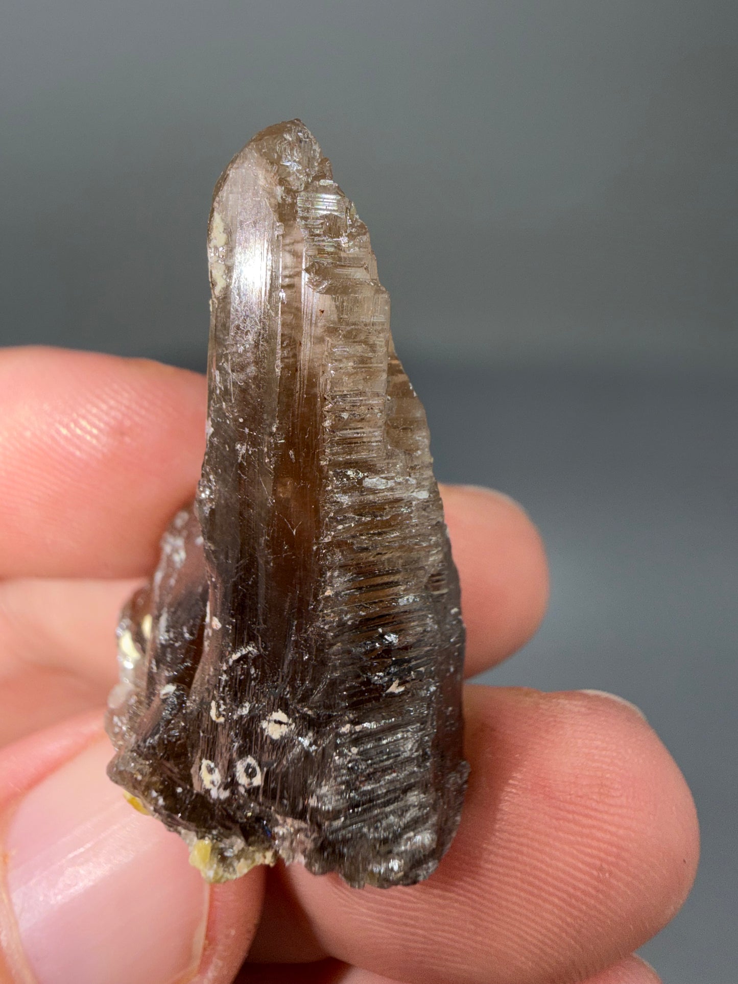 Cerrusite, Angelsite
