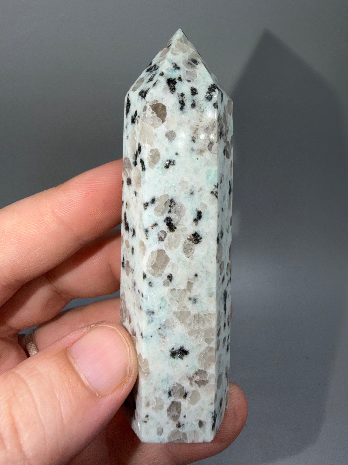 Kiwi jasper