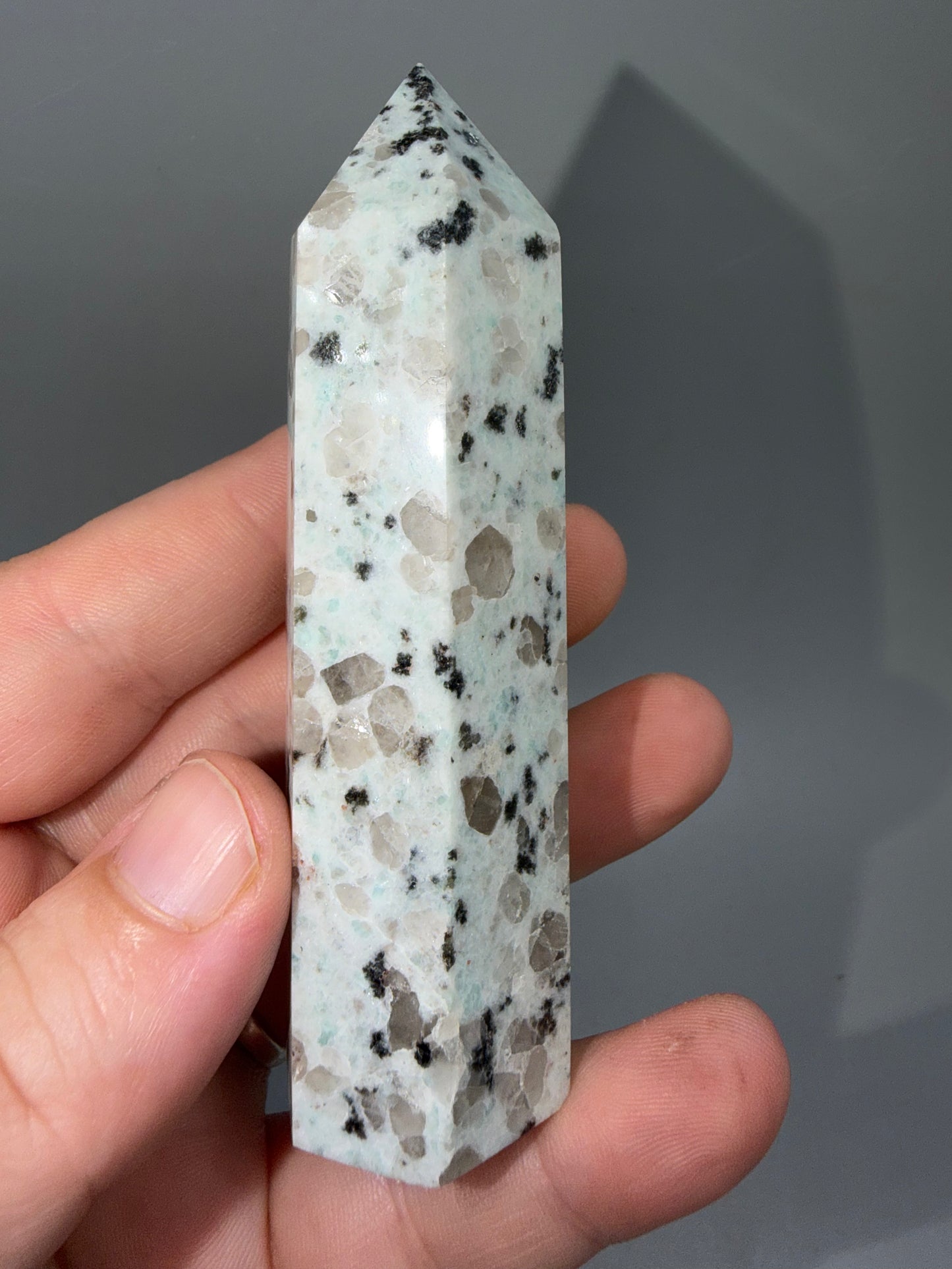 Kiwi jasper