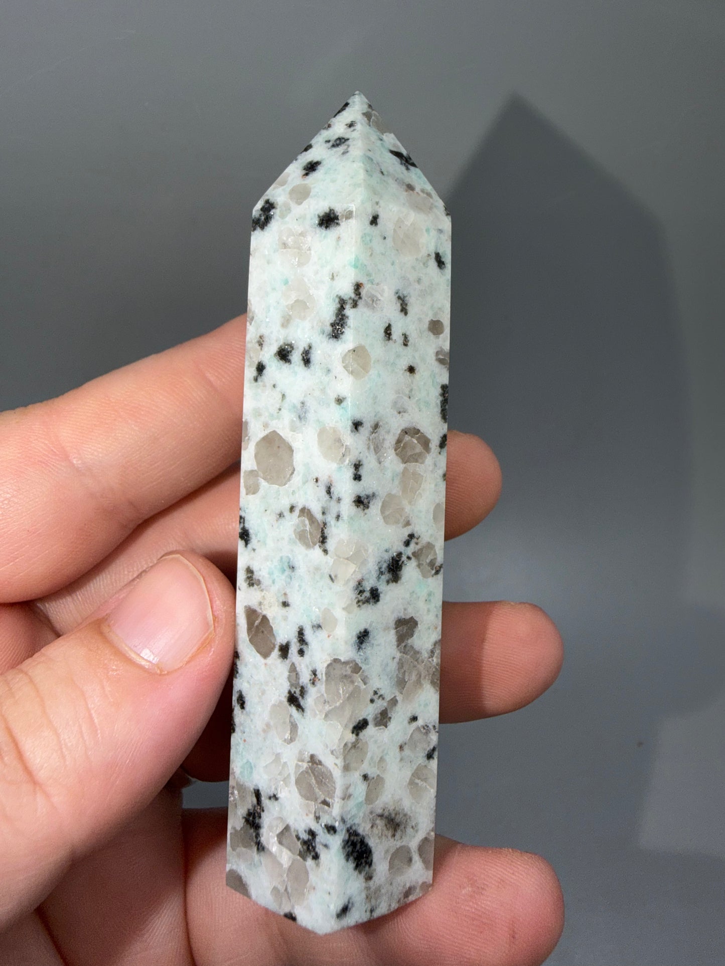 Kiwi jasper