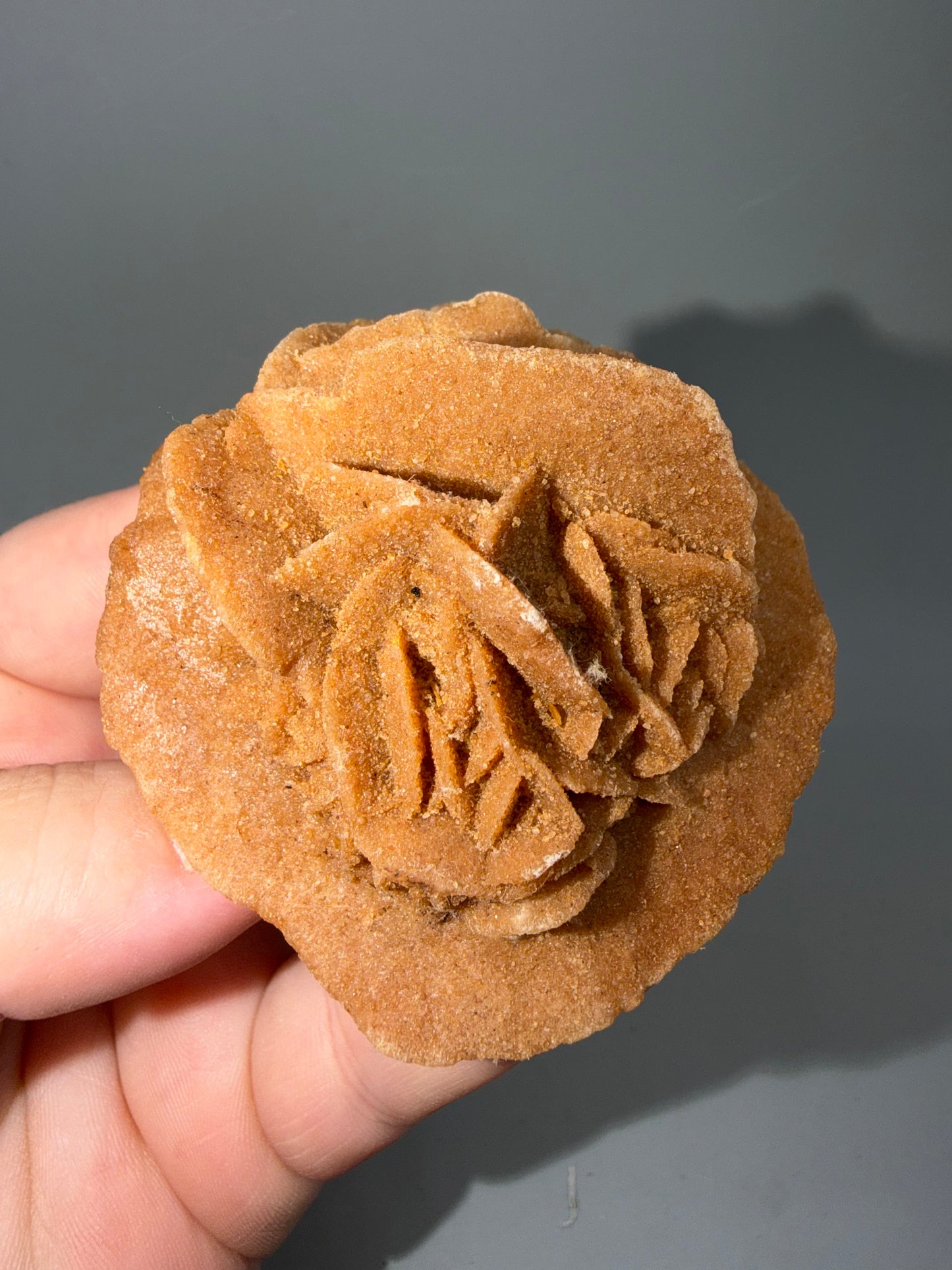 Desert Rose Selenite