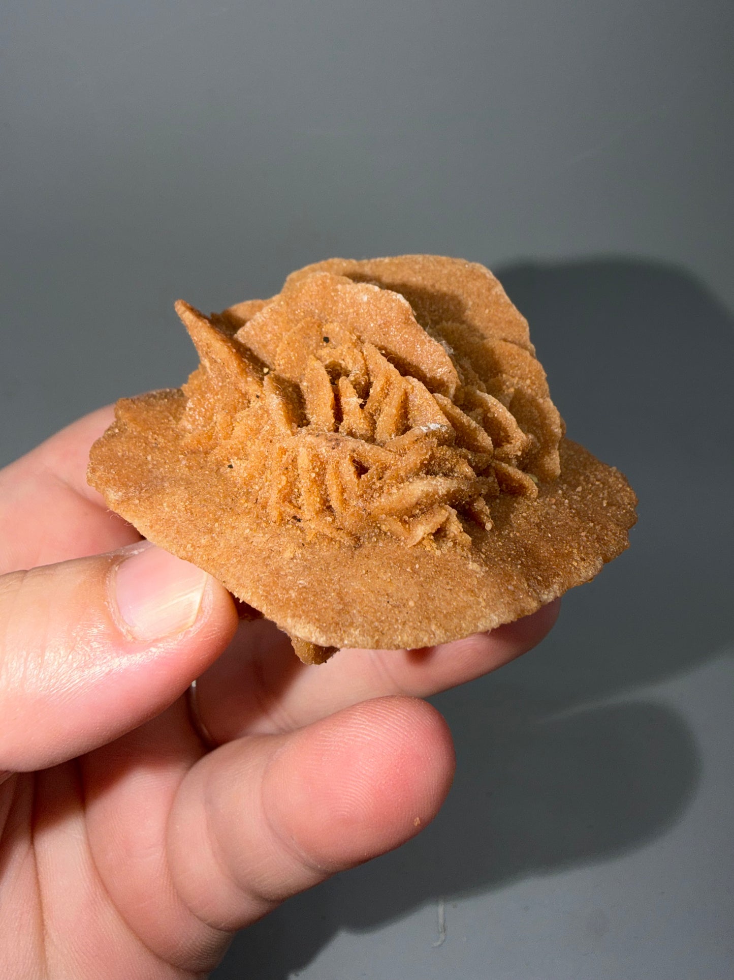 Desert Rose Selenite