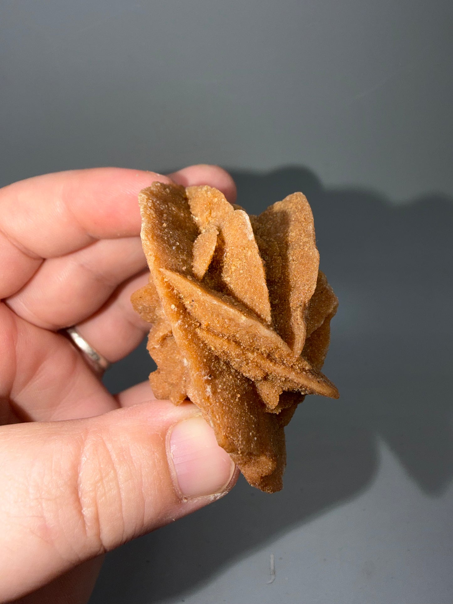 Desert Rose Selenite