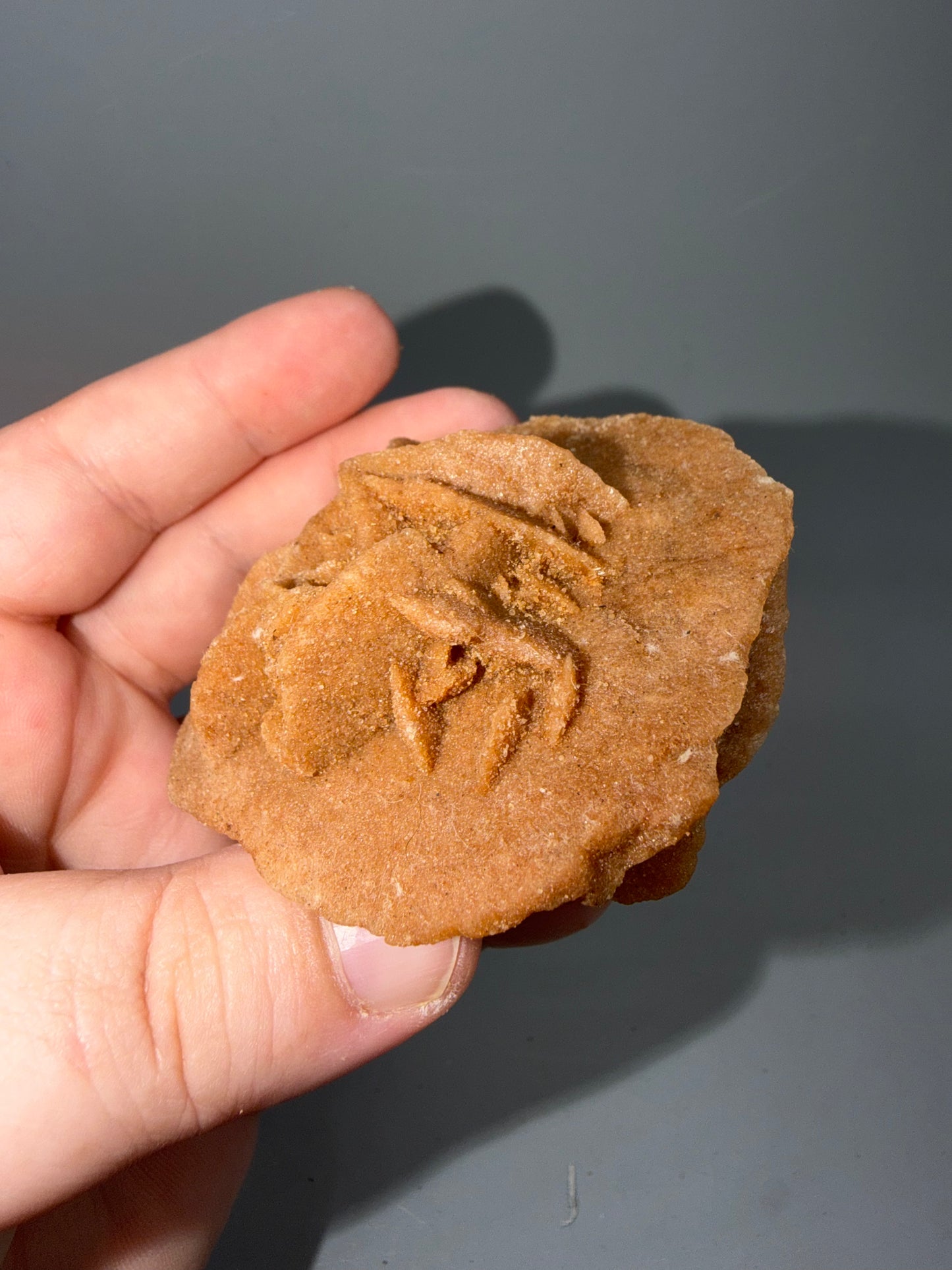 Desert Rose Selenite