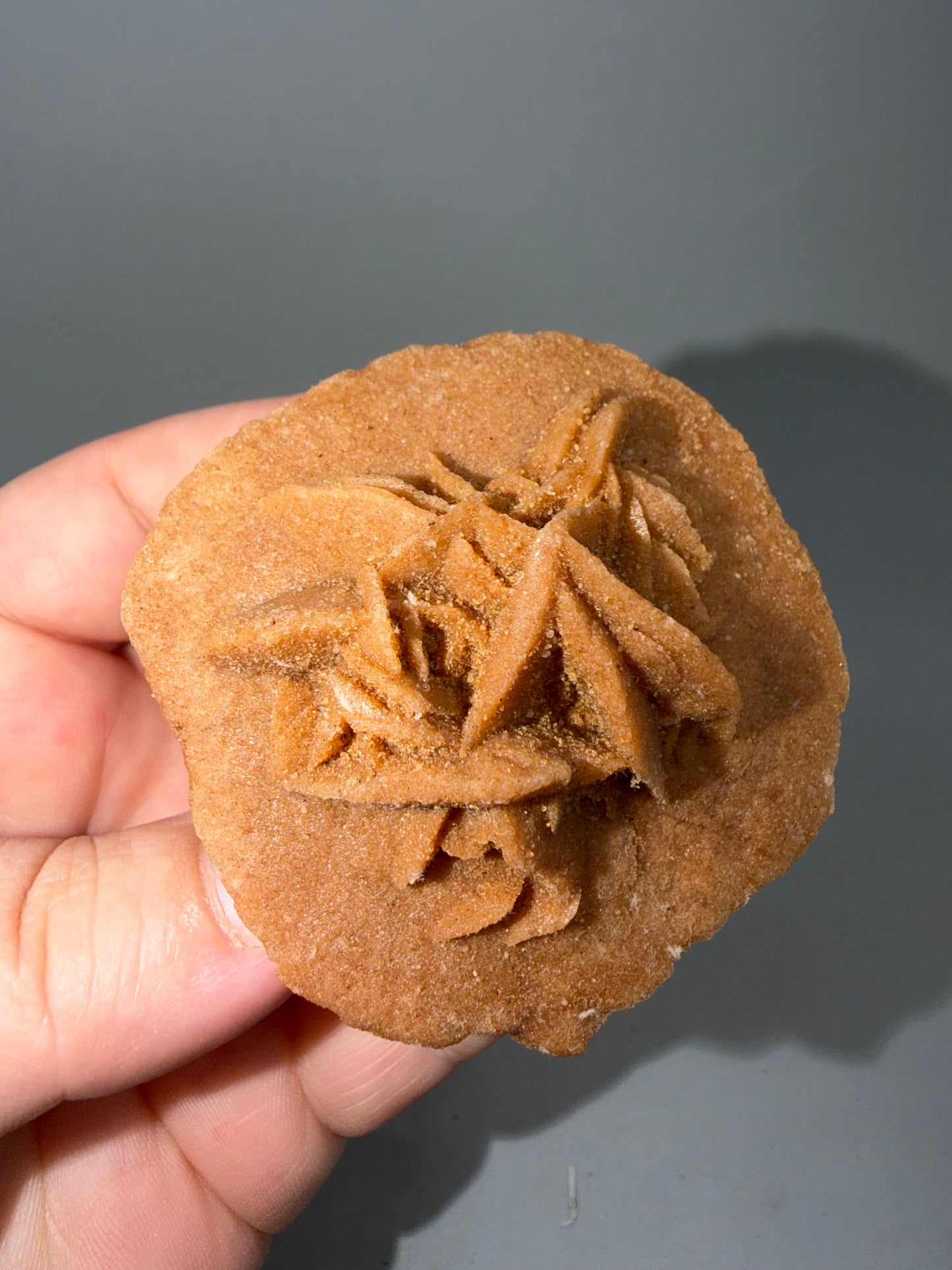 Desert Rose Selenite