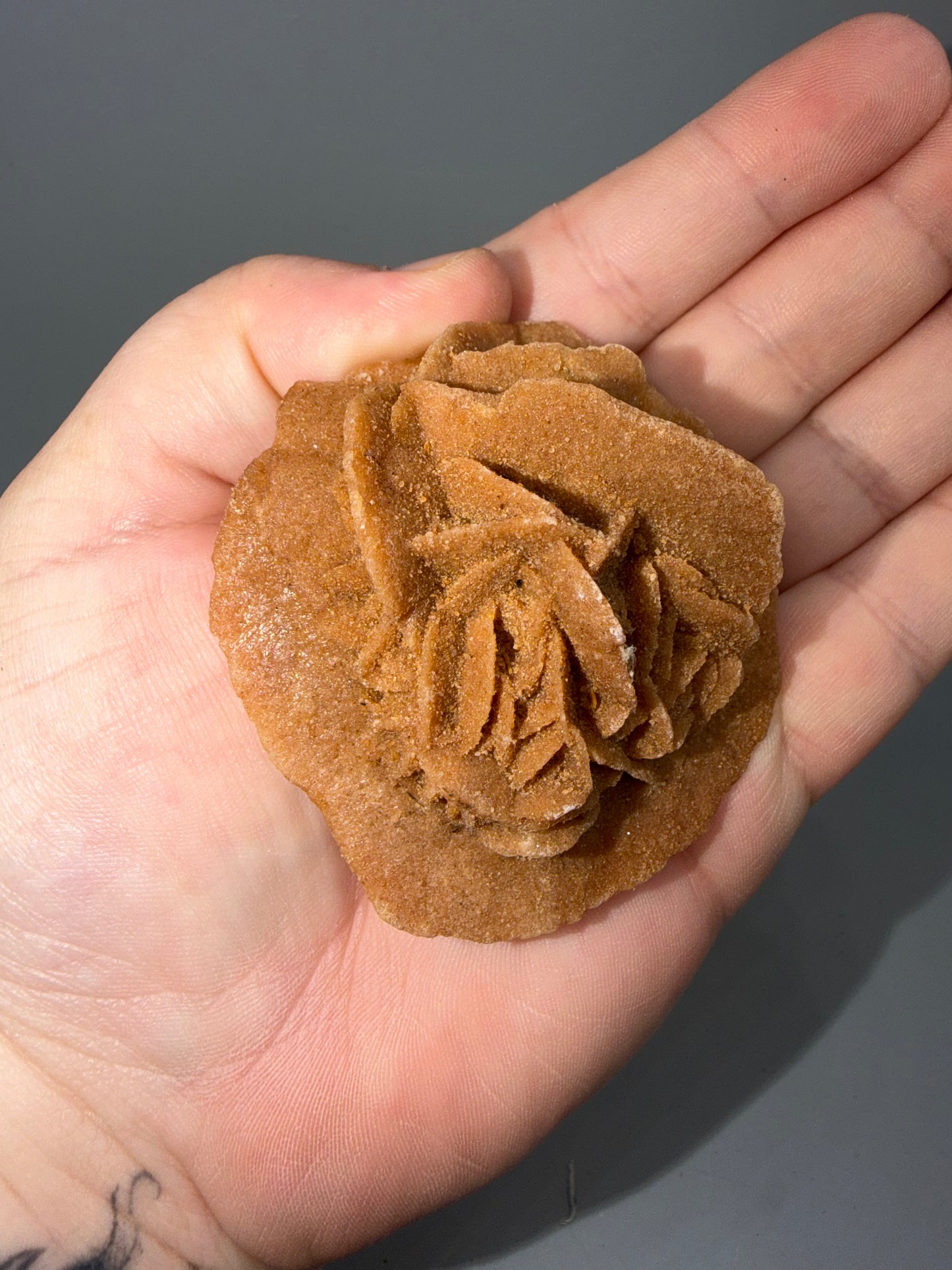 Desert Rose Selenite