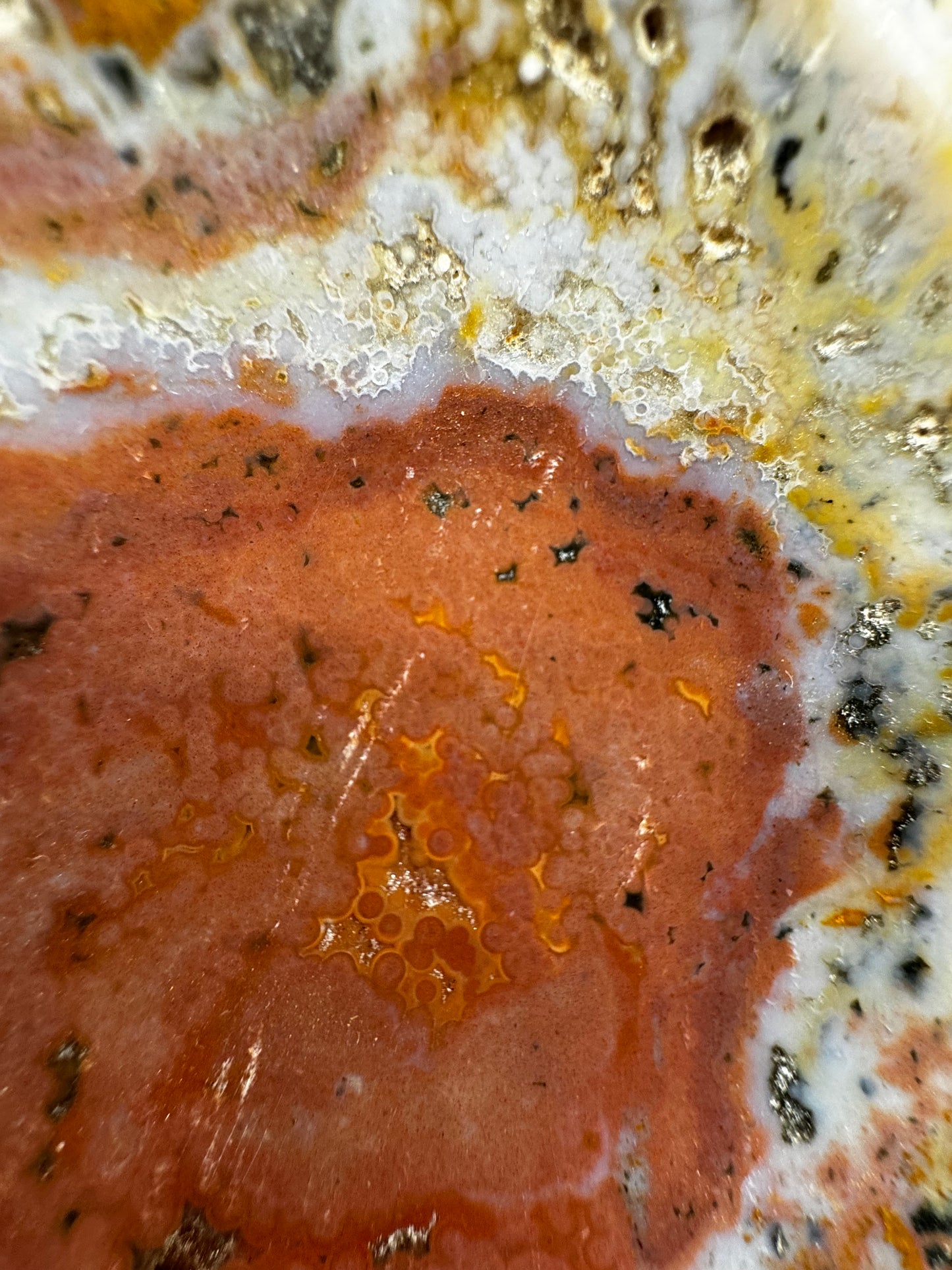 Ocean jasper bowl