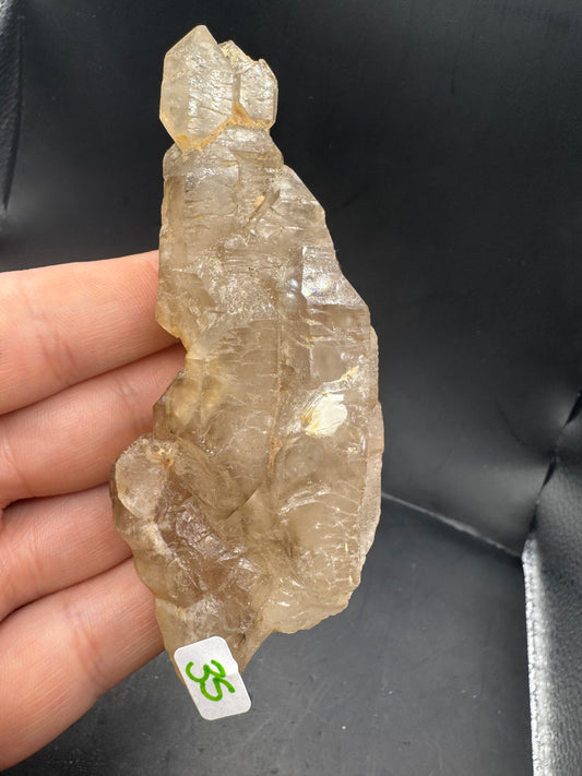 Alligator quartz