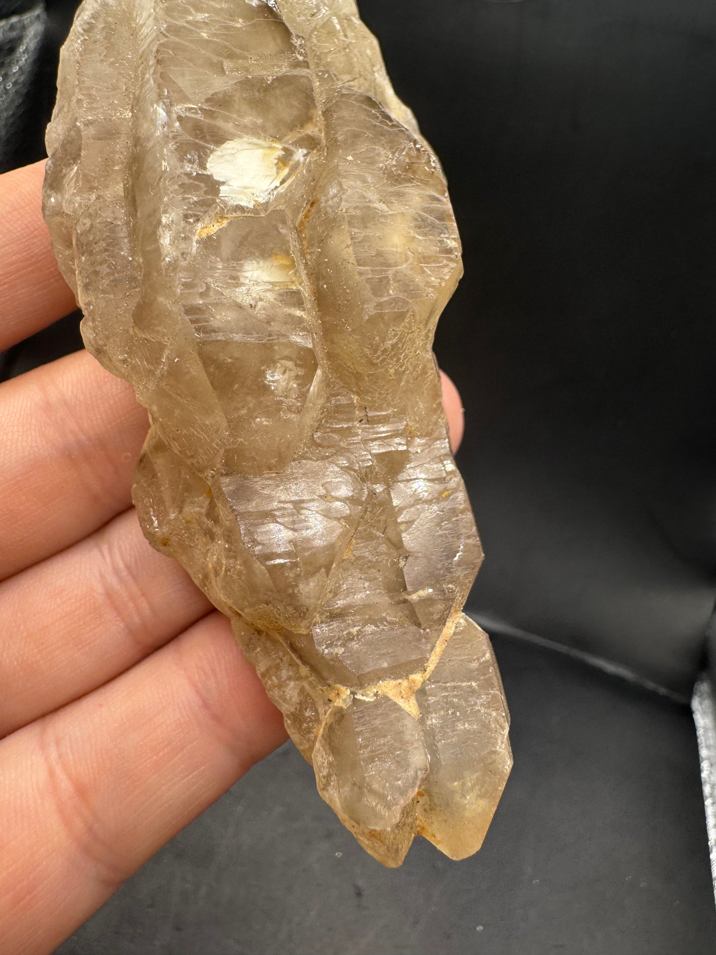 Alligator quartz