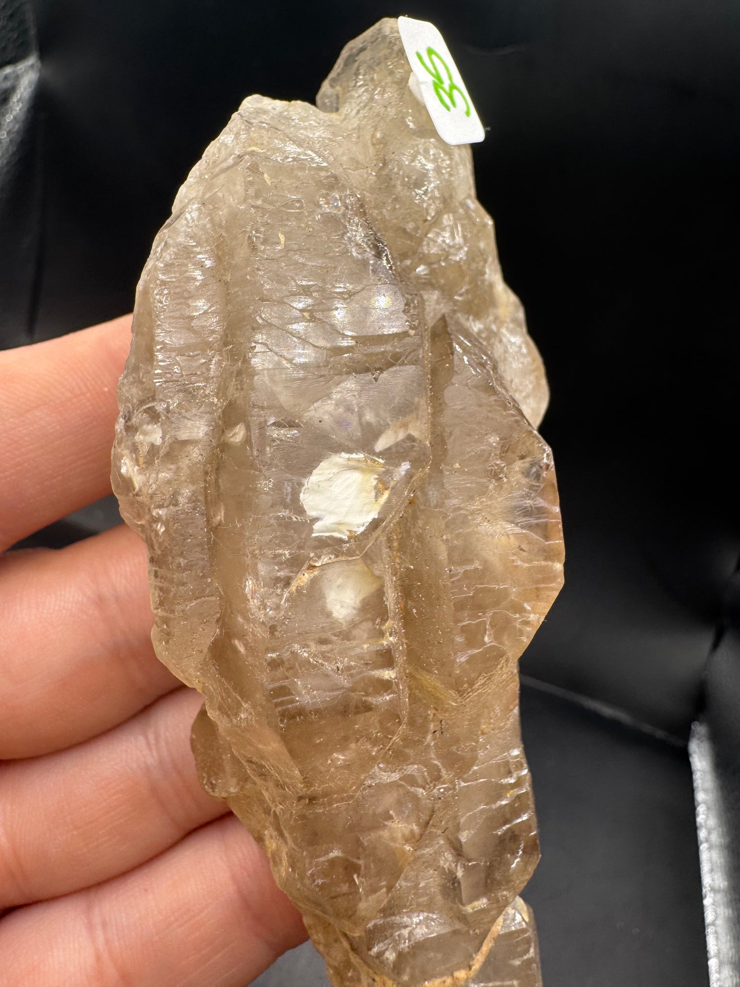 Alligator quartz