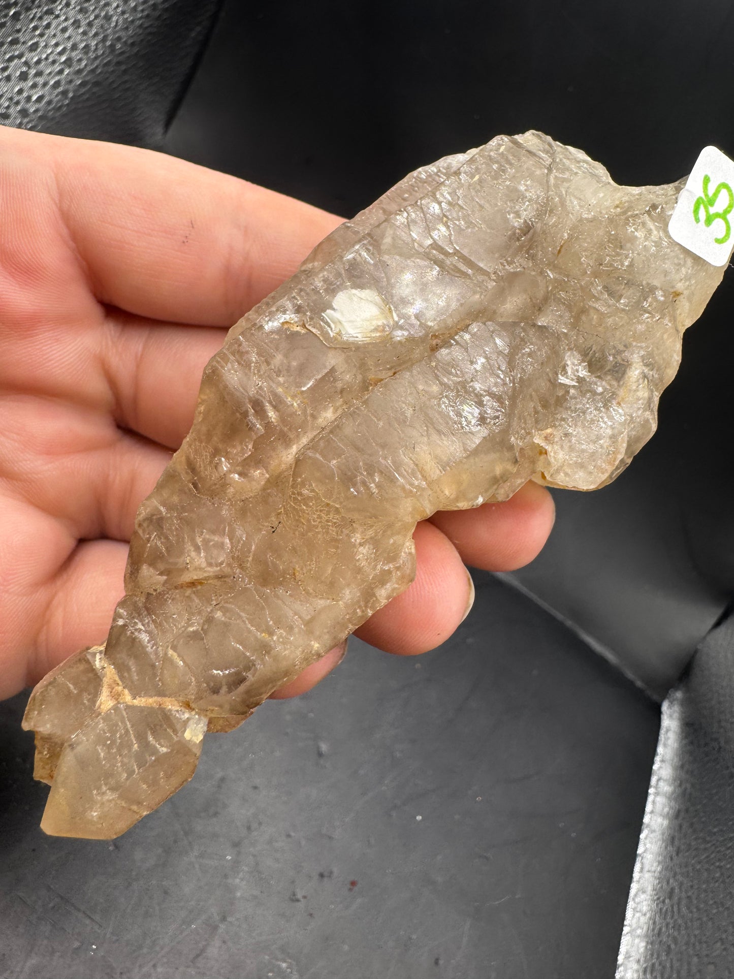Alligator quartz