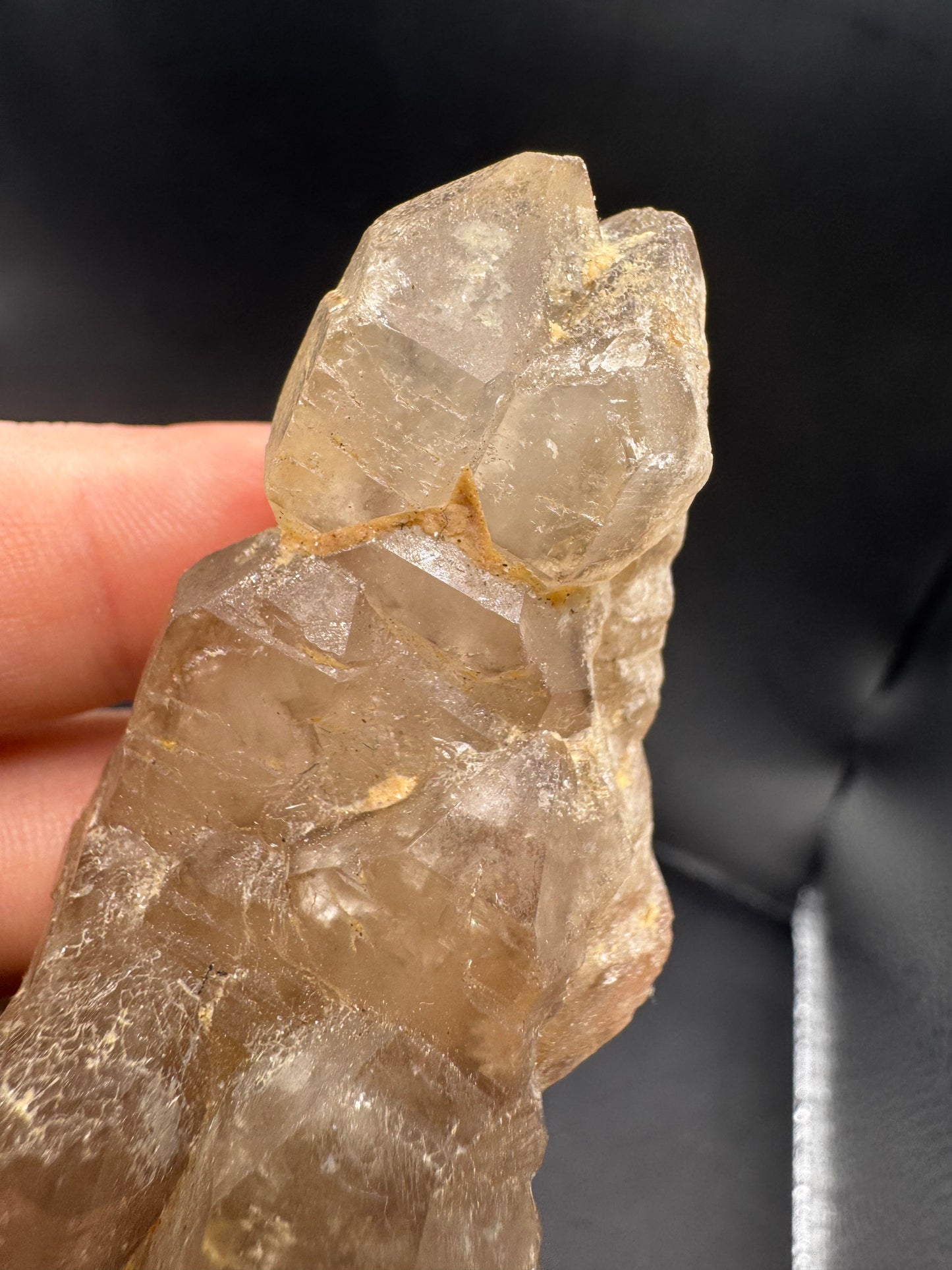 Alligator quartz
