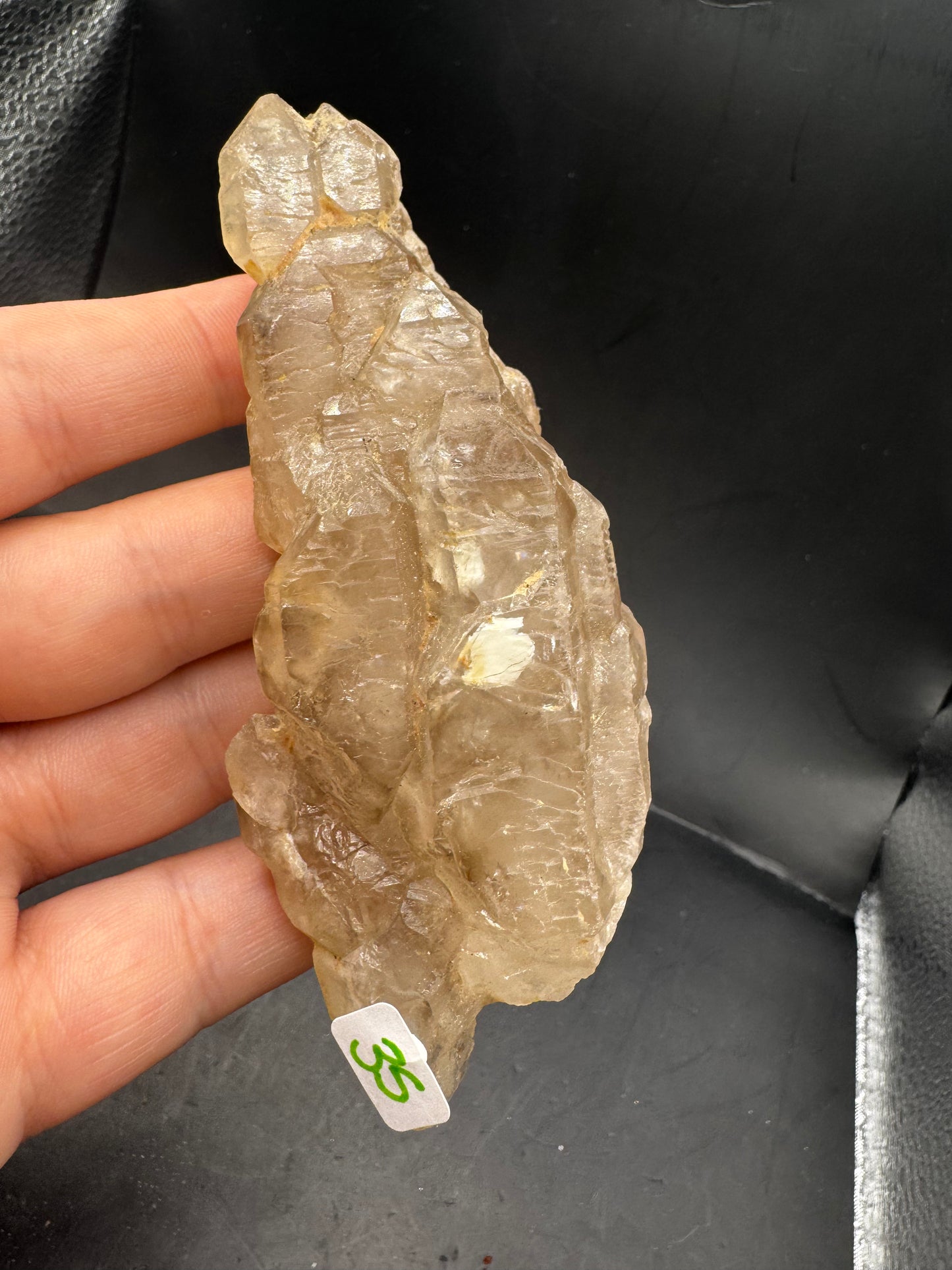 Alligator quartz
