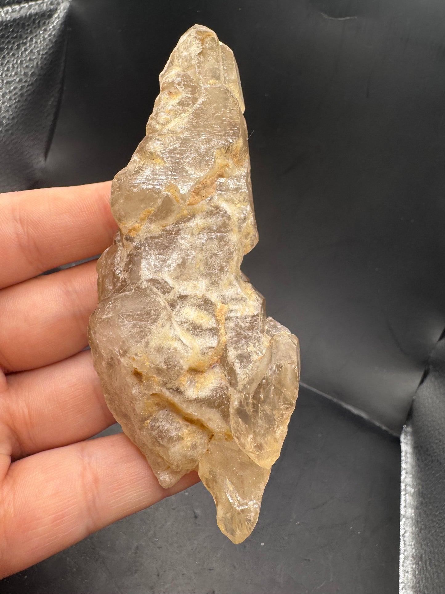 Alligator quartz
