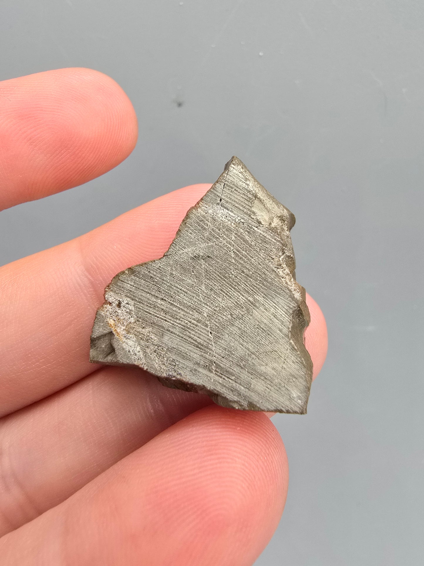 Canadian ammolite