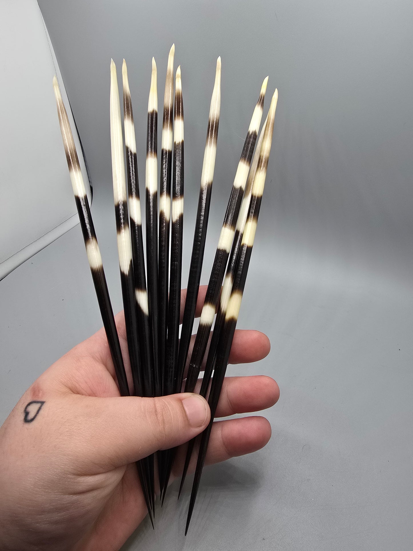 Quills